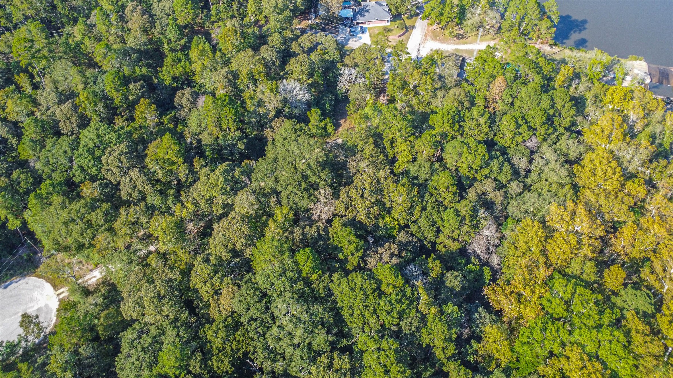 Tbd Granite Road Huntsville, TX 77340 - Photo 11 of 16