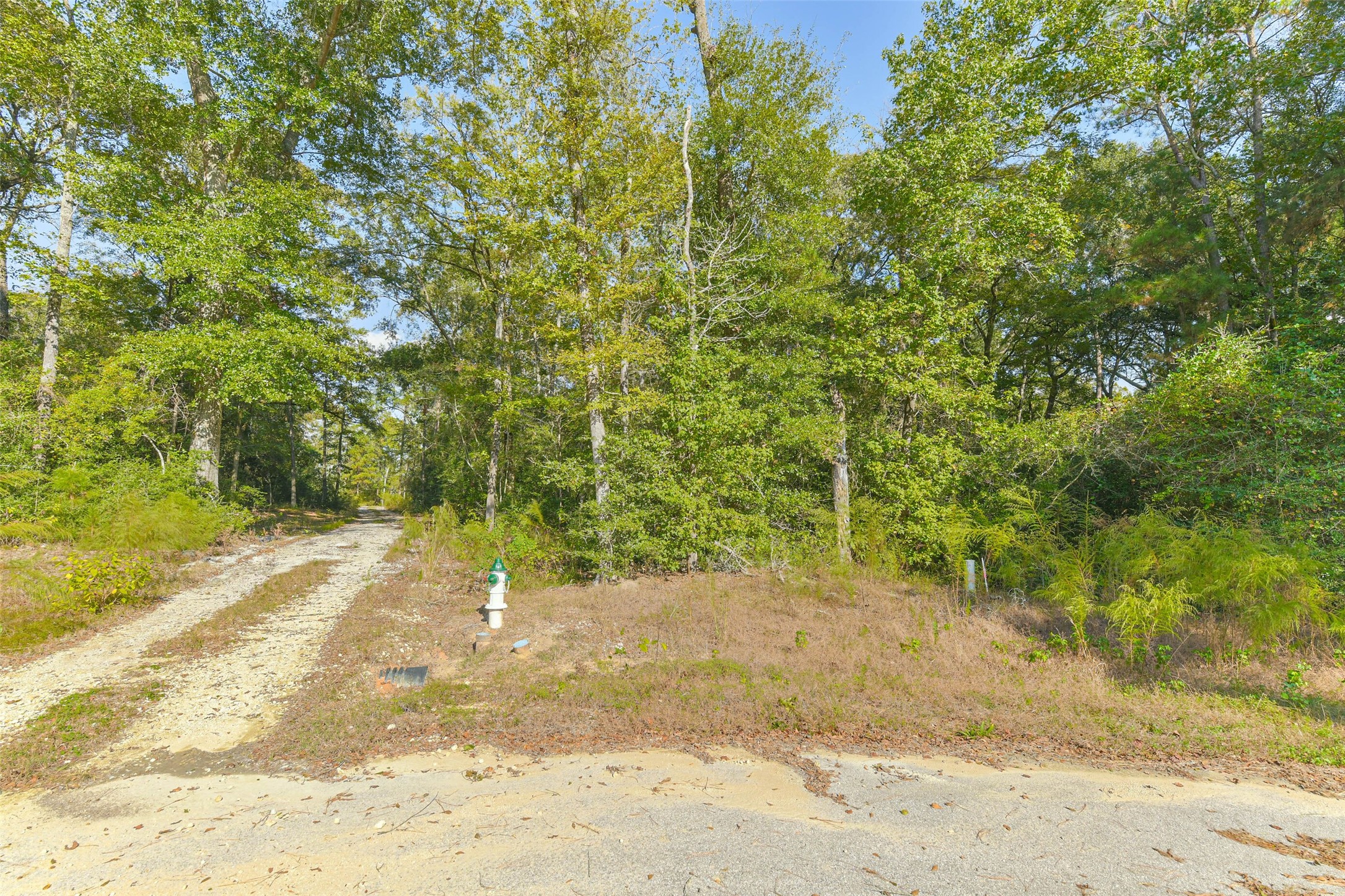 Tbd Granite Road Huntsville, TX 77340 - Photo 13 of 16 Lot is right across the Houston National Forest.