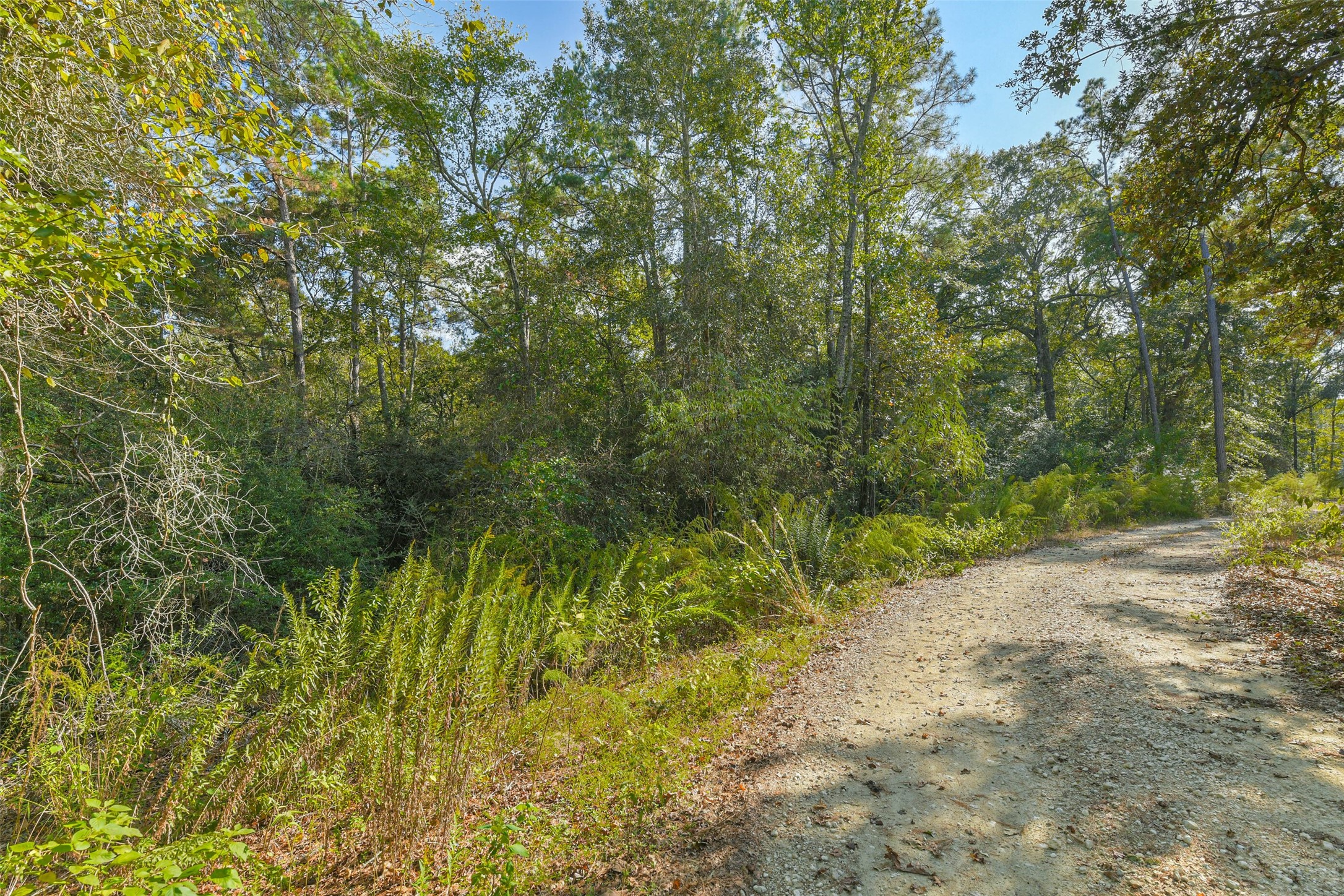Tbd Granite Road Huntsville, TX 77340 - Photo 14 of 16