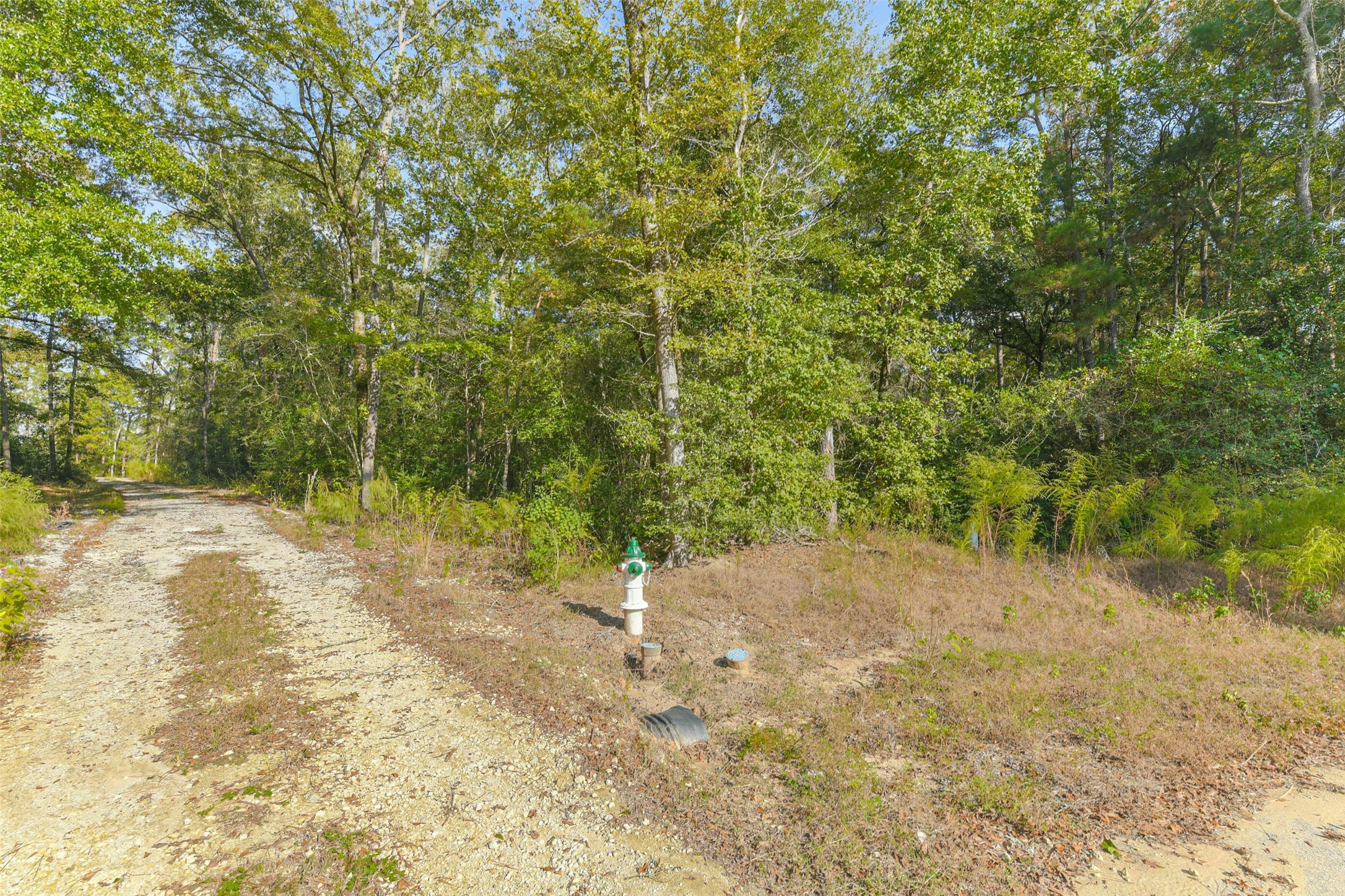 Tbd Granite Road Huntsville, TX 77340 - Photo 15 of 16