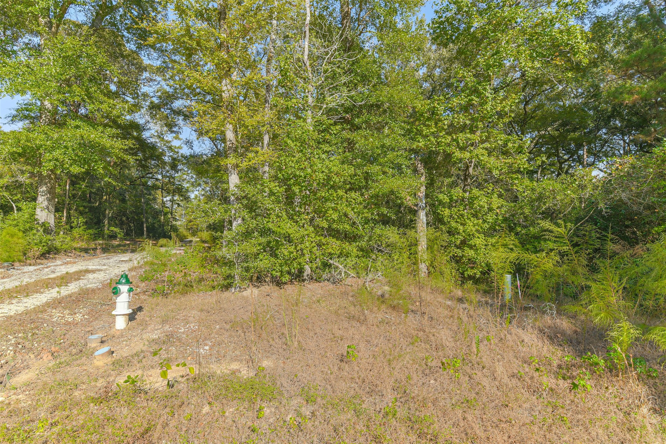 Tbd Granite Road Huntsville, TX 77340 - Photo 16 of 16
