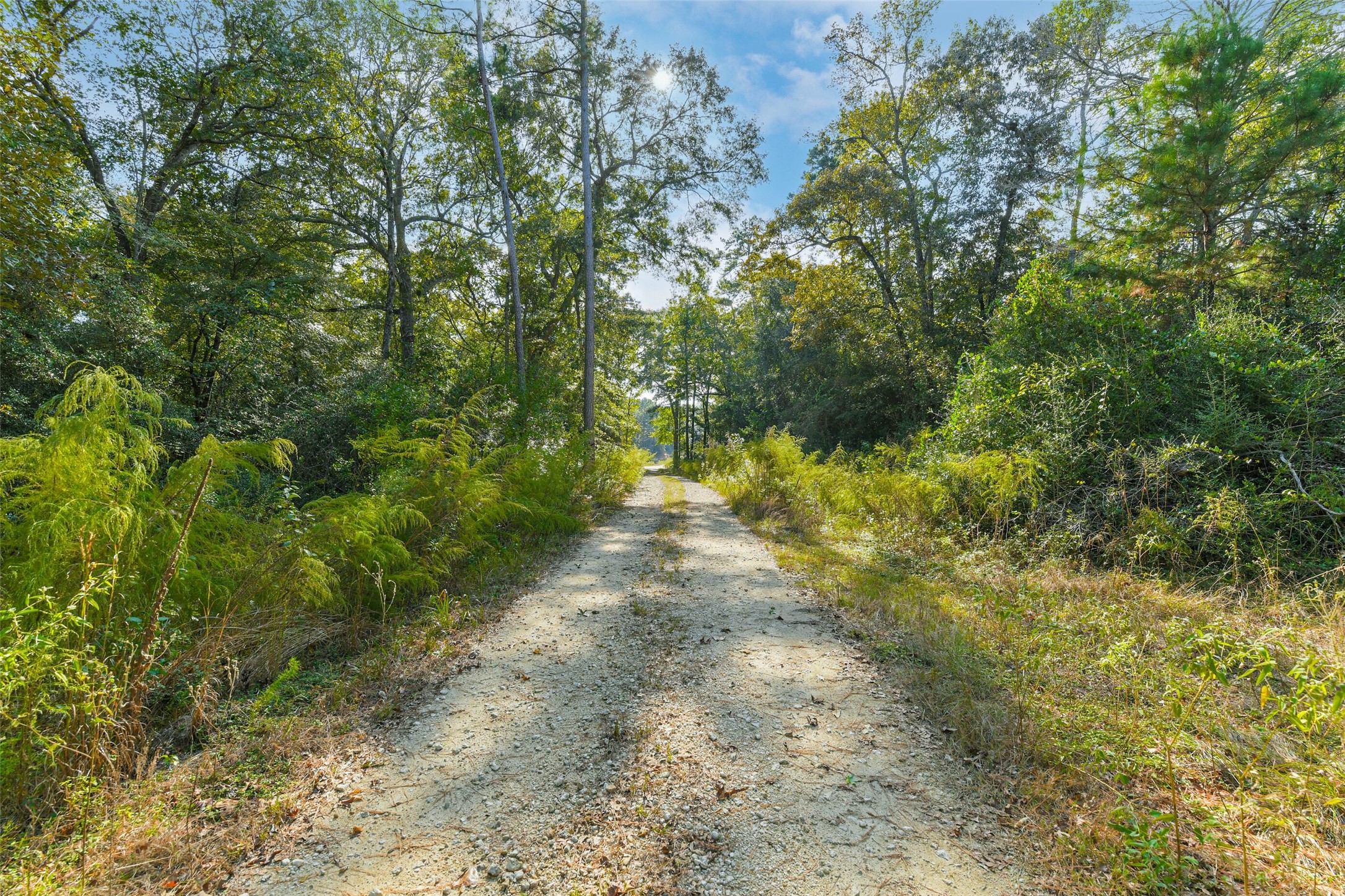 Tbd Granite Road Huntsville, TX 77340 - Photo 4 of 16 Enjoy the picturesque walking trails on left of lot.