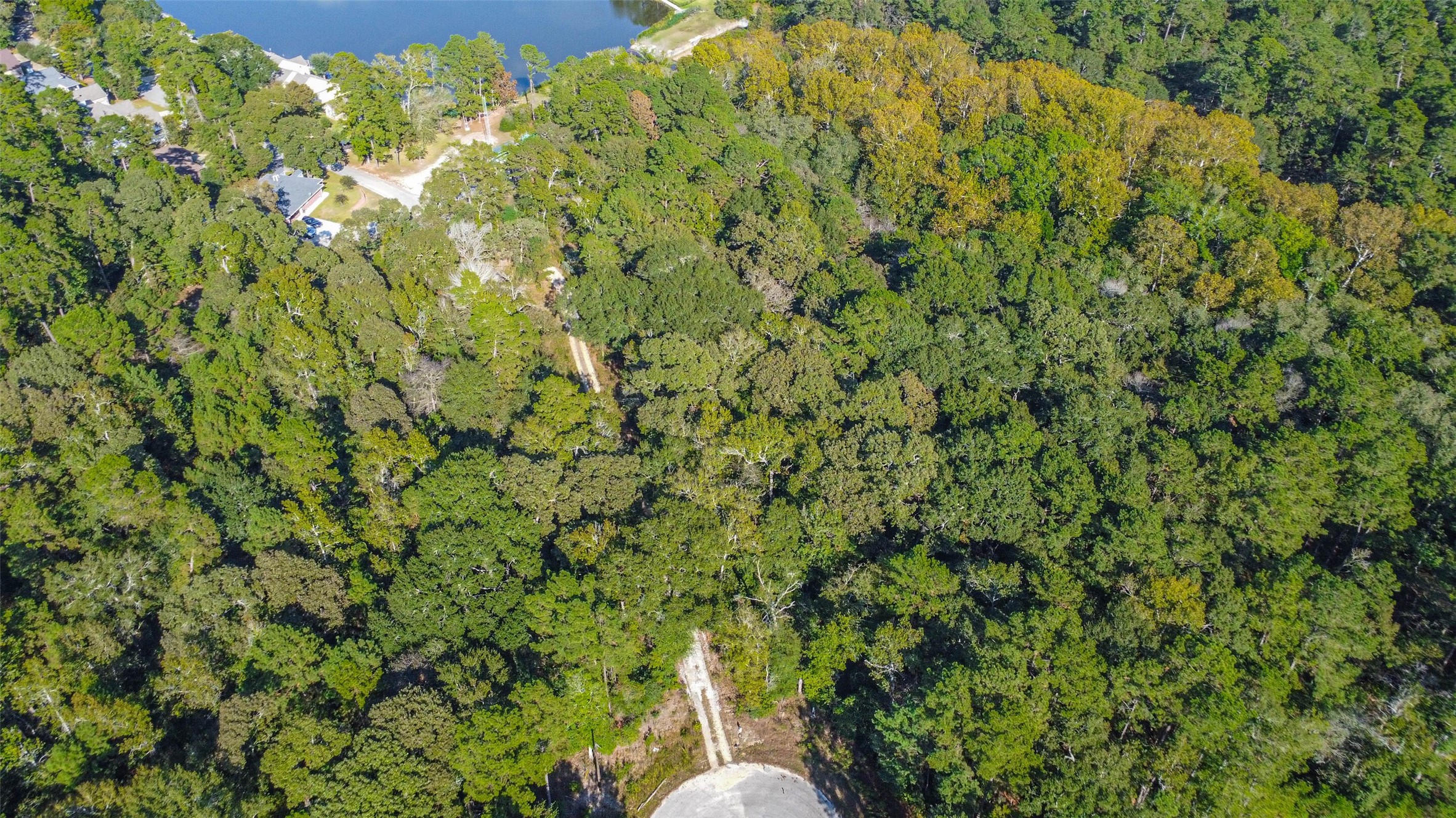 Tbd Granite Road Huntsville, TX 77340 - Photo 8 of 16 Low taxes and low HOA.