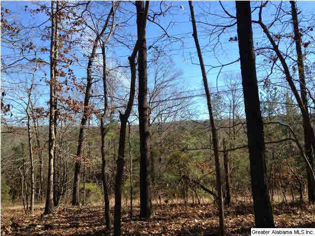 8535 Dunnavant Valley Road Leeds, AL 35094 - Photo 2 of 7