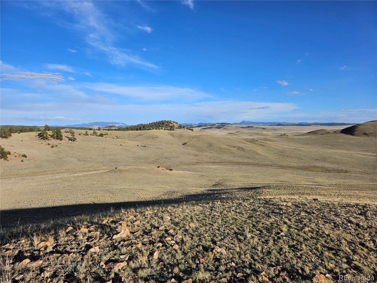 24142 Antero Road Hartsel, CO 80449 - Photo 40 of 48