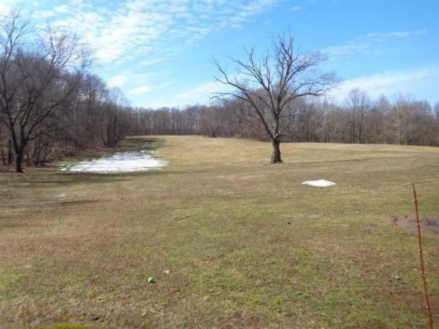 301 Knott Road Niles, MI 49120 - Photo 54 of 57 property