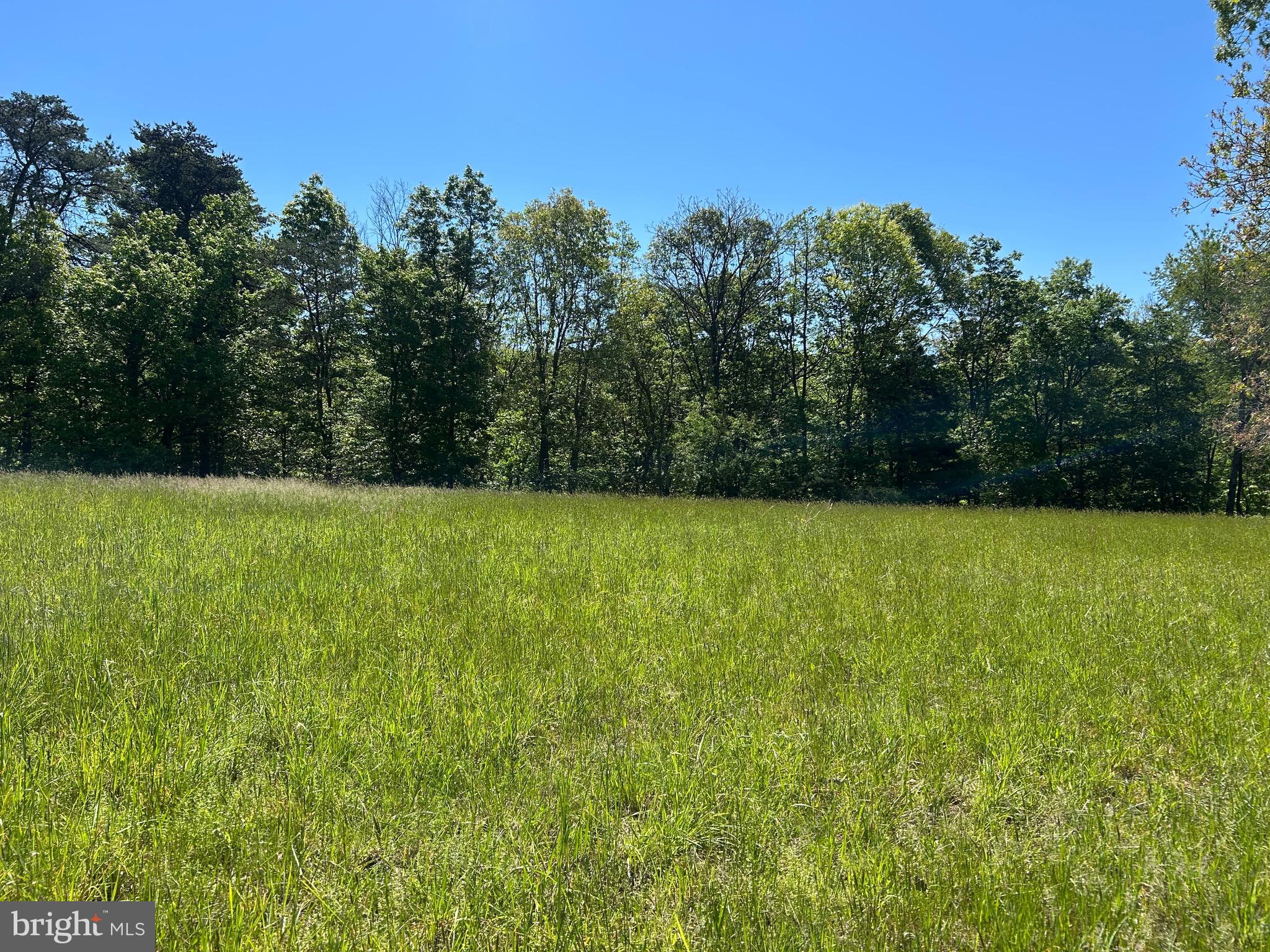 South Timber Ridge Road Cross Junction, VA 22625 - Photo 25 of 32 a view of a field with trees in the background