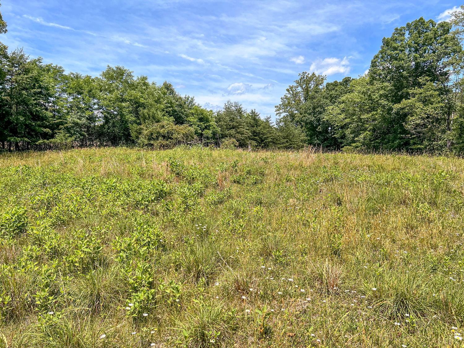 2050 High Peak Road Monroe, VA 24574 - Photo 4 of 49 Gallery Image 4