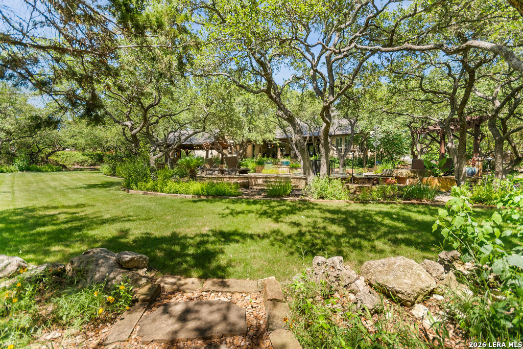 25 Stone Terrace Fair Oaks Ranch, TX 78015 - Photo 84 of 95