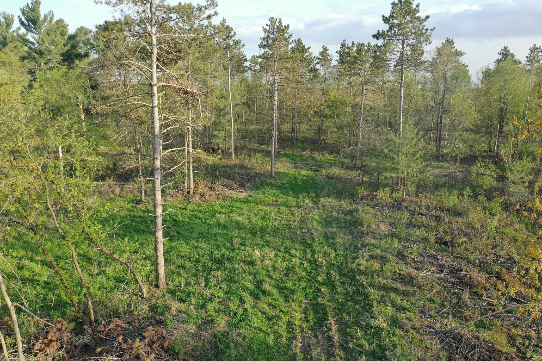 65 Star Prairie Star Prairie, WI 54026 - Photo 1 of 1 Gallery Image 1