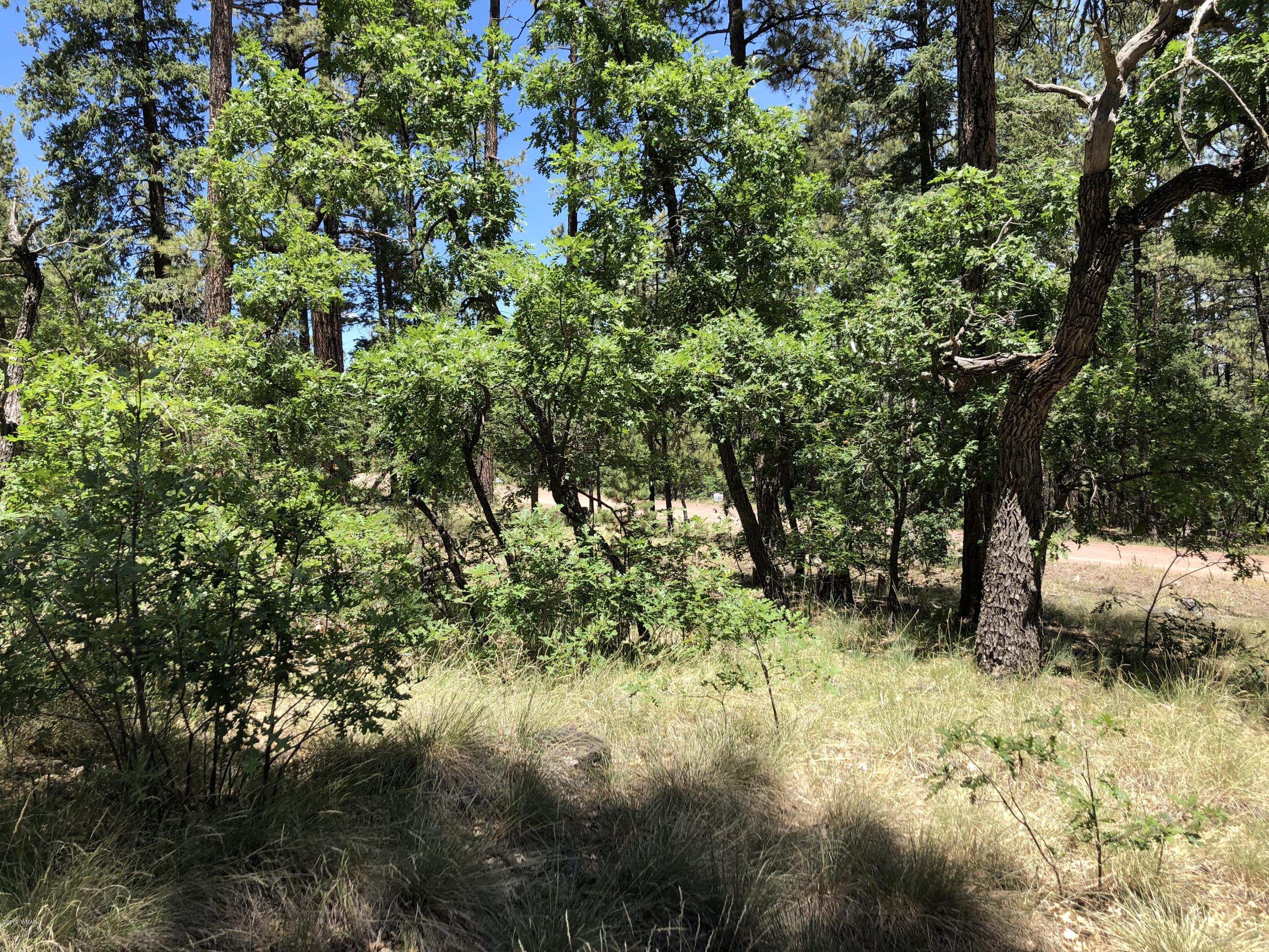 126 Co Road Alpine, AZ 85920 - Photo 11 of 23
