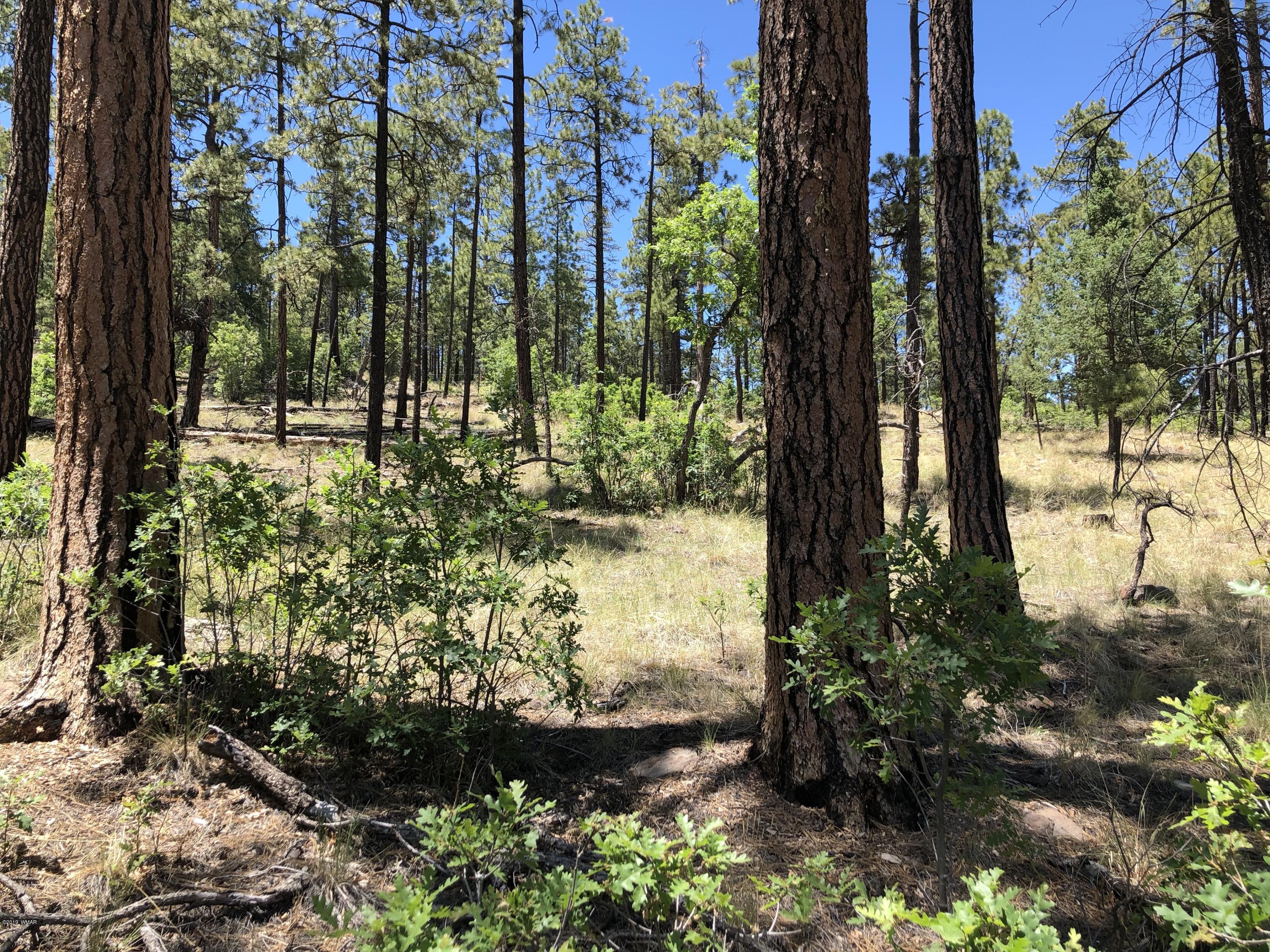 126 Co Road Alpine, AZ 85920 - Photo 12 of 23