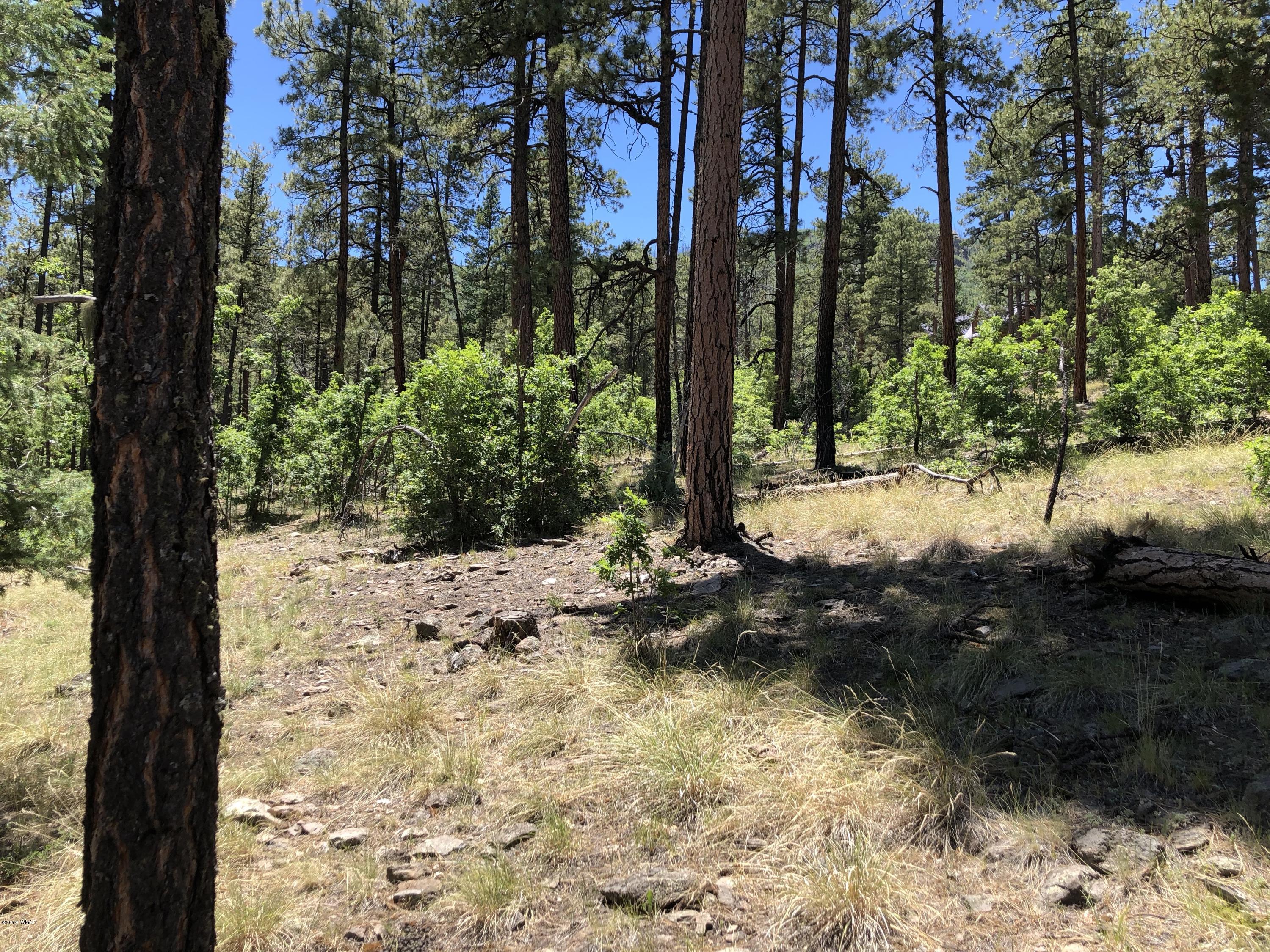 126 Co Road Alpine, AZ 85920 - Photo 13 of 23