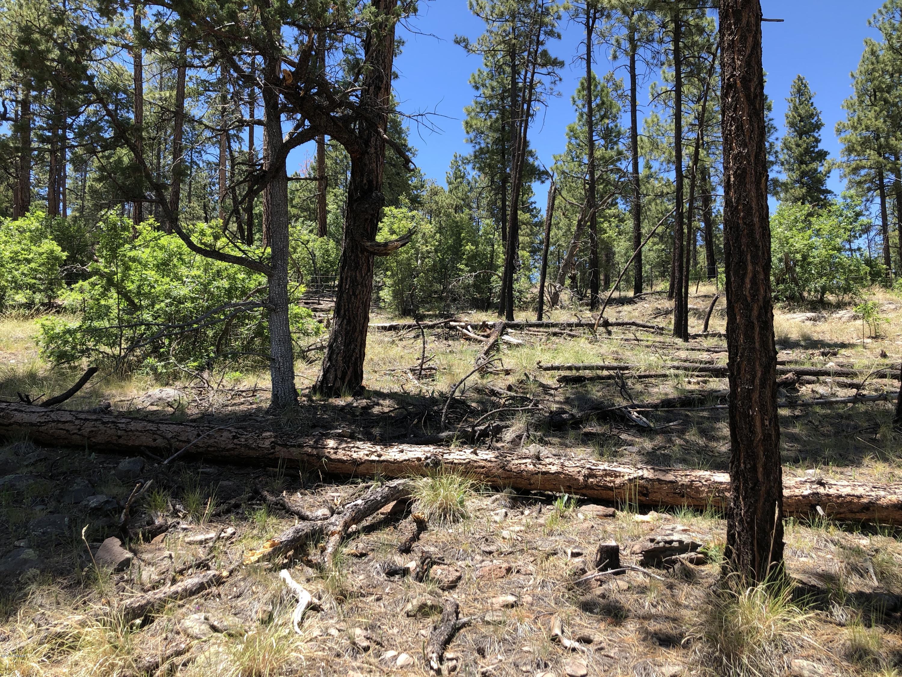 126 Co Road Alpine, AZ 85920 - Photo 14 of 23