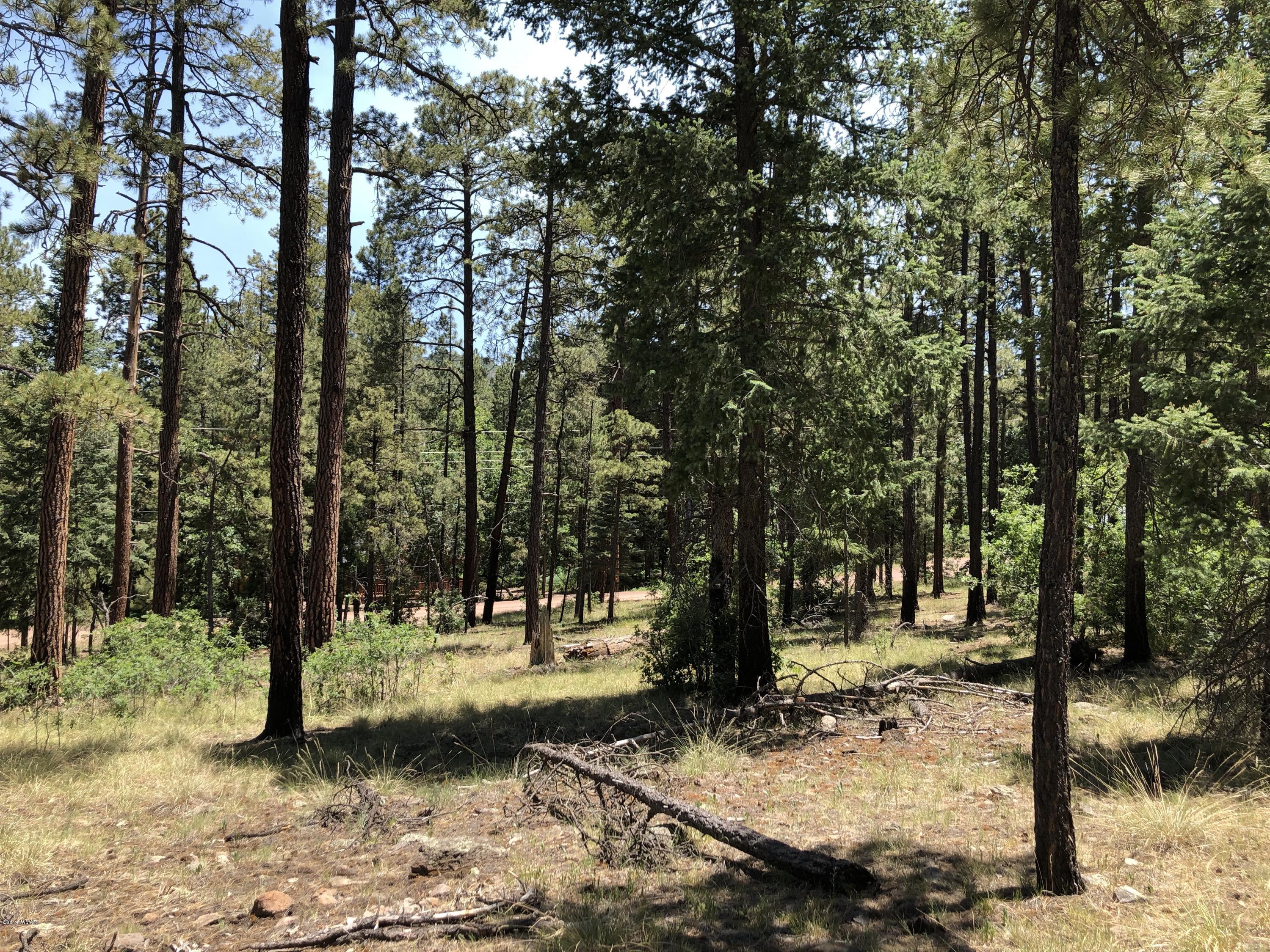 126 Co Road Alpine, AZ 85920 - Photo 16 of 23