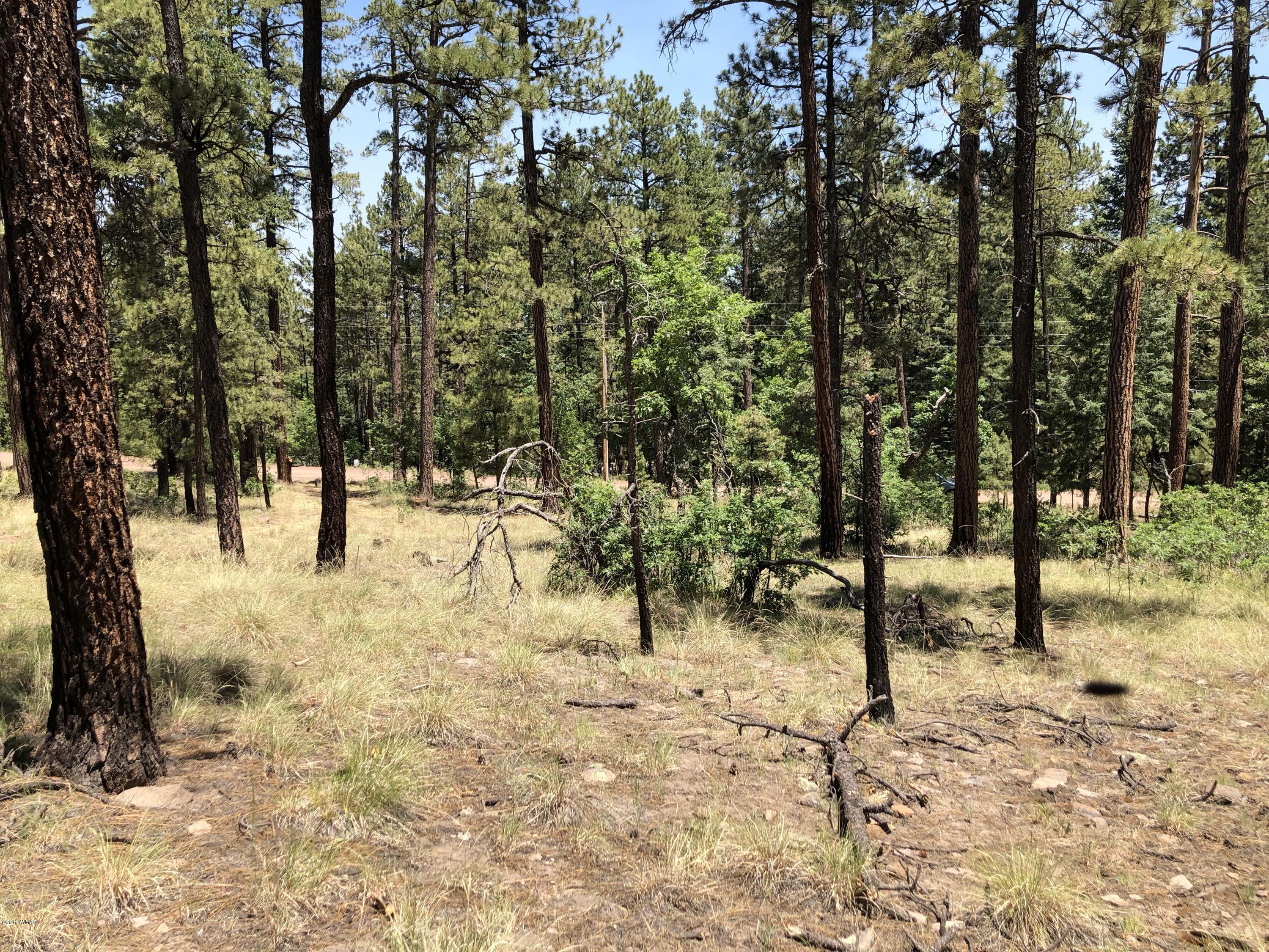 126 Co Road Alpine, AZ 85920 - Photo 17 of 23