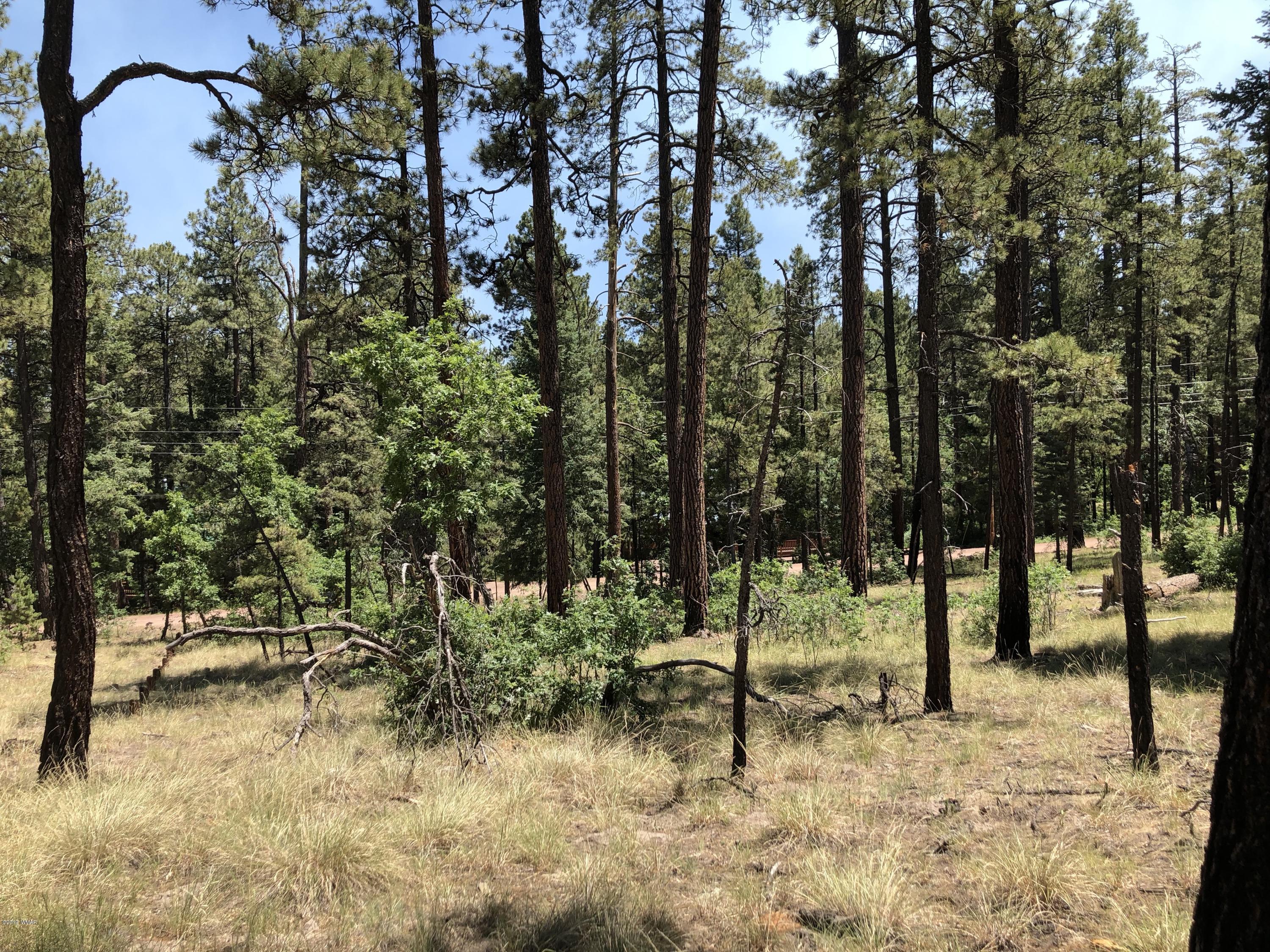126 Co Road Alpine, AZ 85920 - Photo 18 of 23