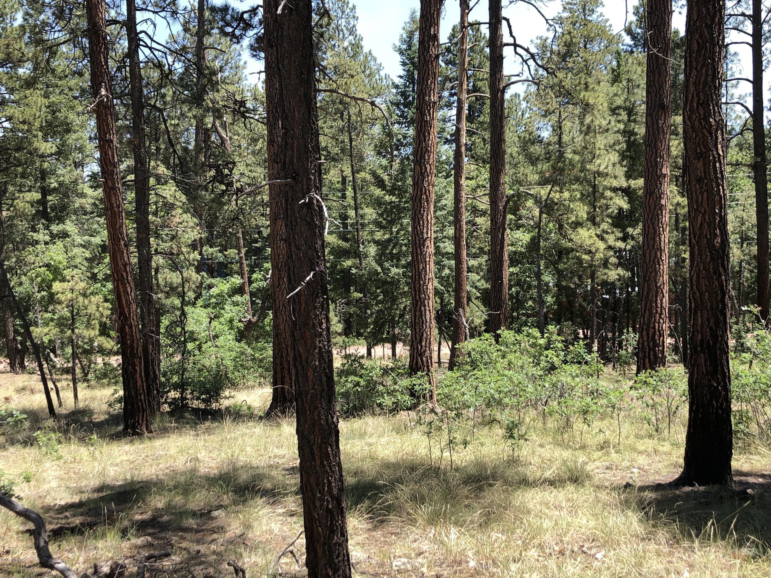 126 Co Road Alpine, AZ 85920 - Photo 19 of 23