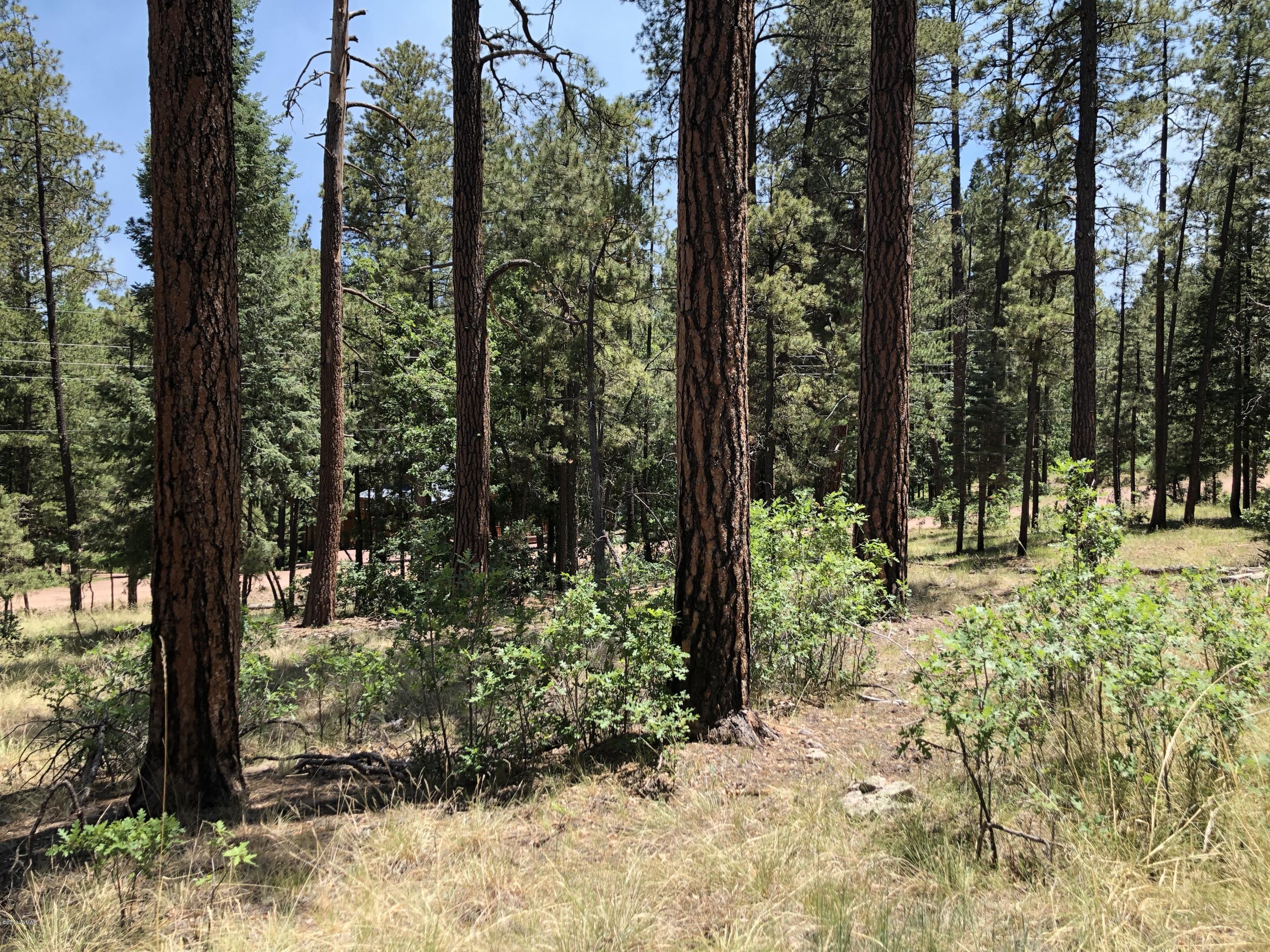 126 Co Road Alpine, AZ 85920 - Photo 20 of 23