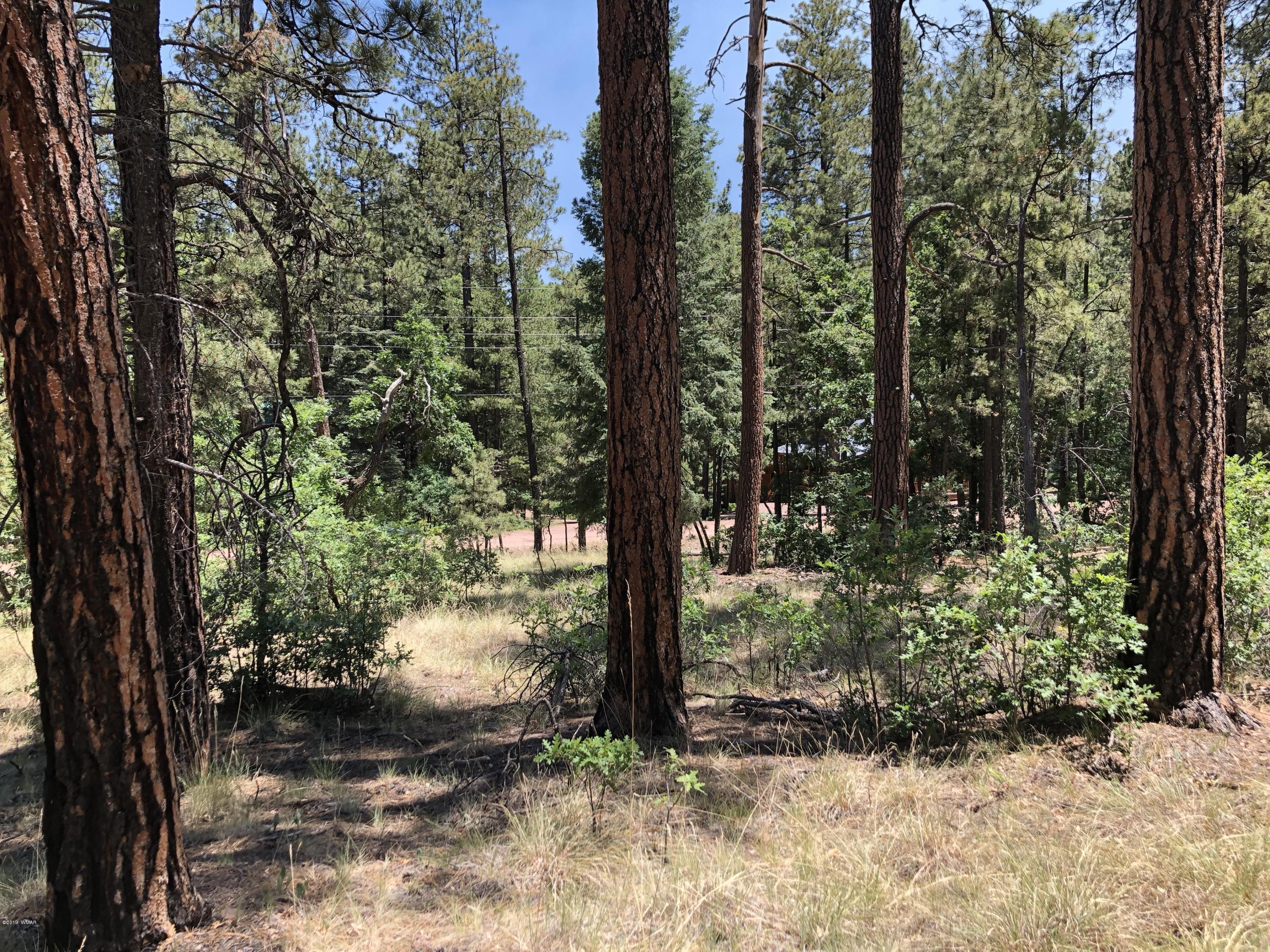 126 Co Road Alpine, AZ 85920 - Photo 2 of 23