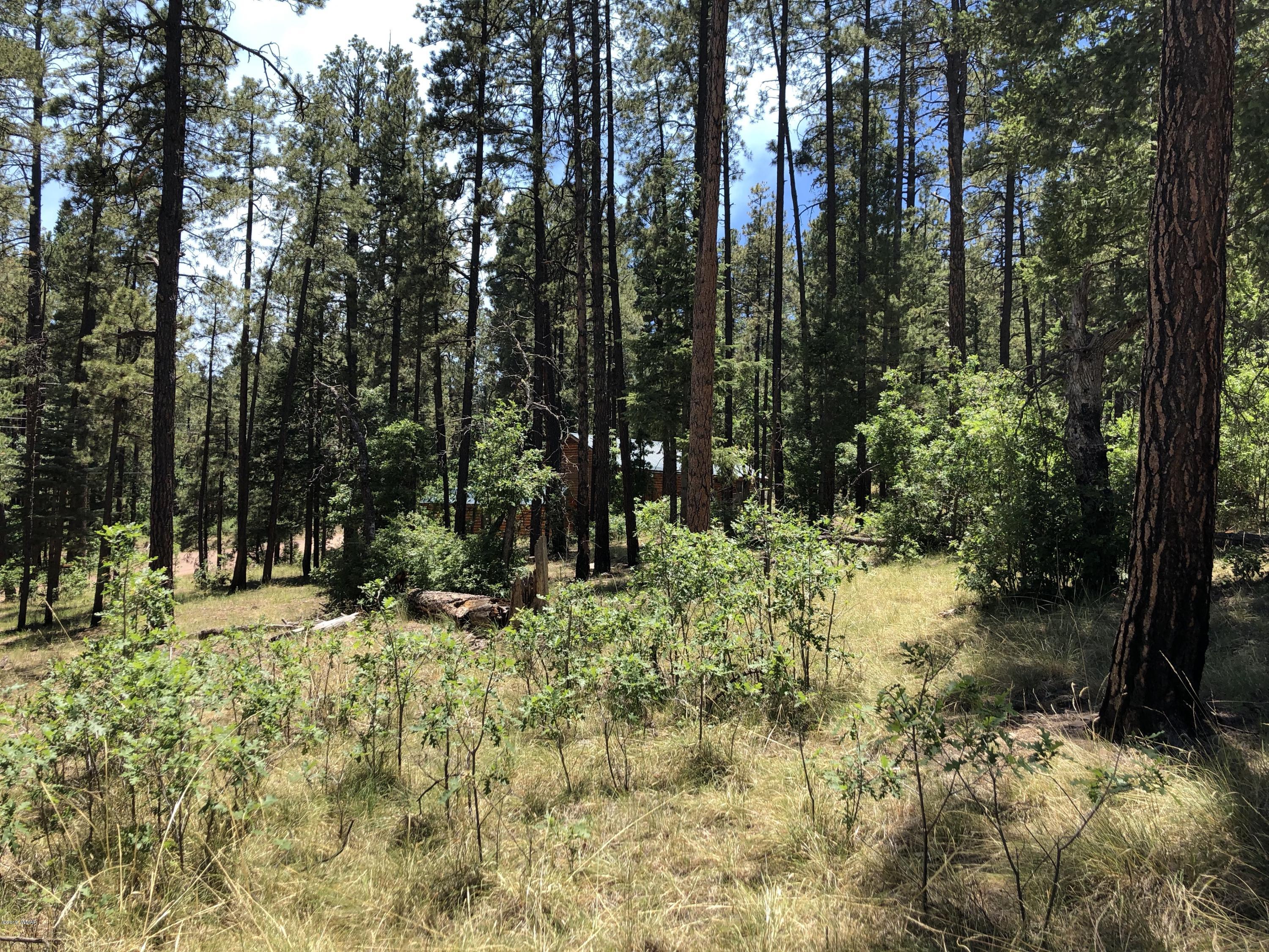 126 Co Road Alpine, AZ 85920 - Photo 21 of 23