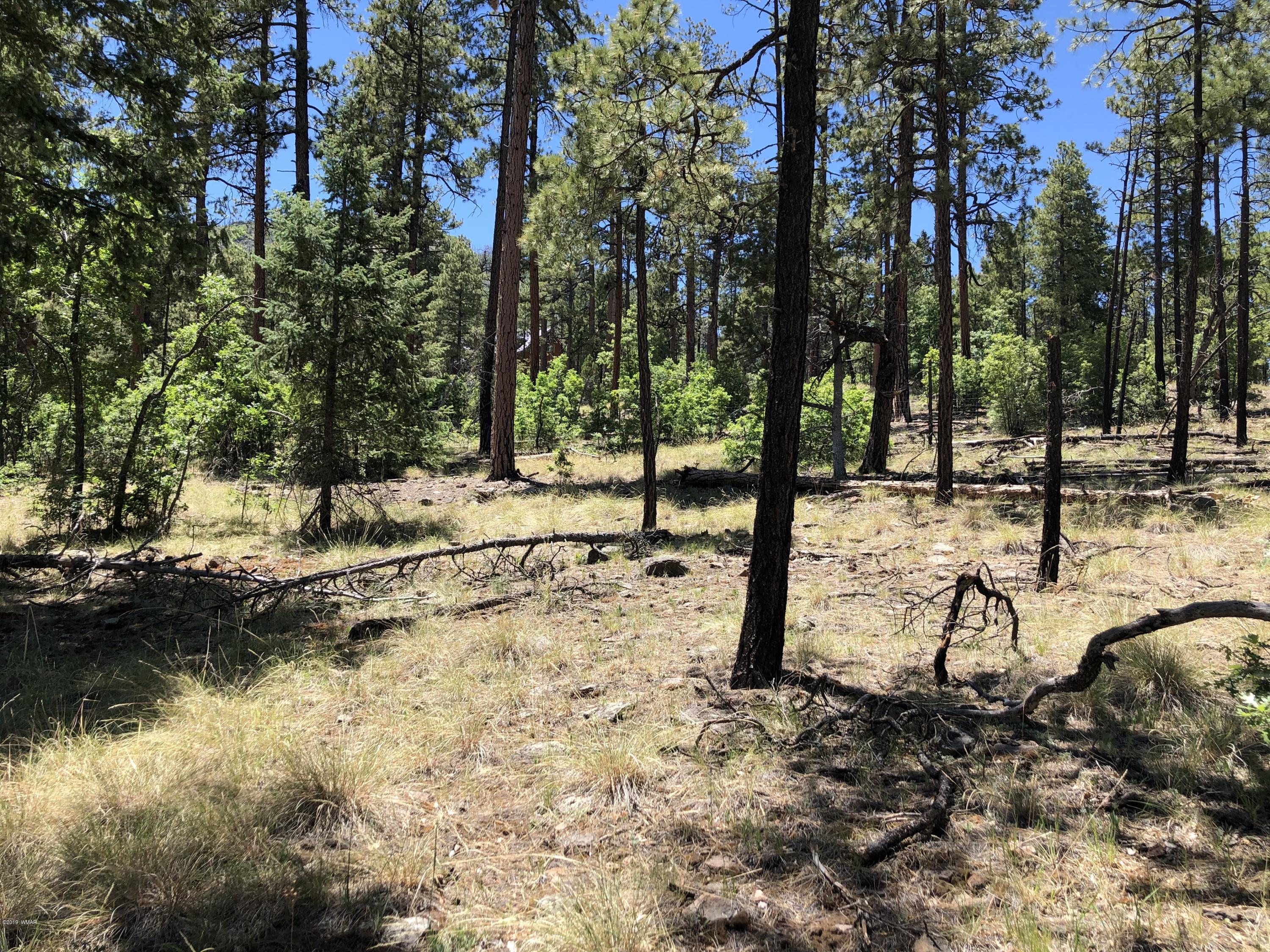 126 Co Road Alpine, AZ 85920 - Photo 22 of 23
