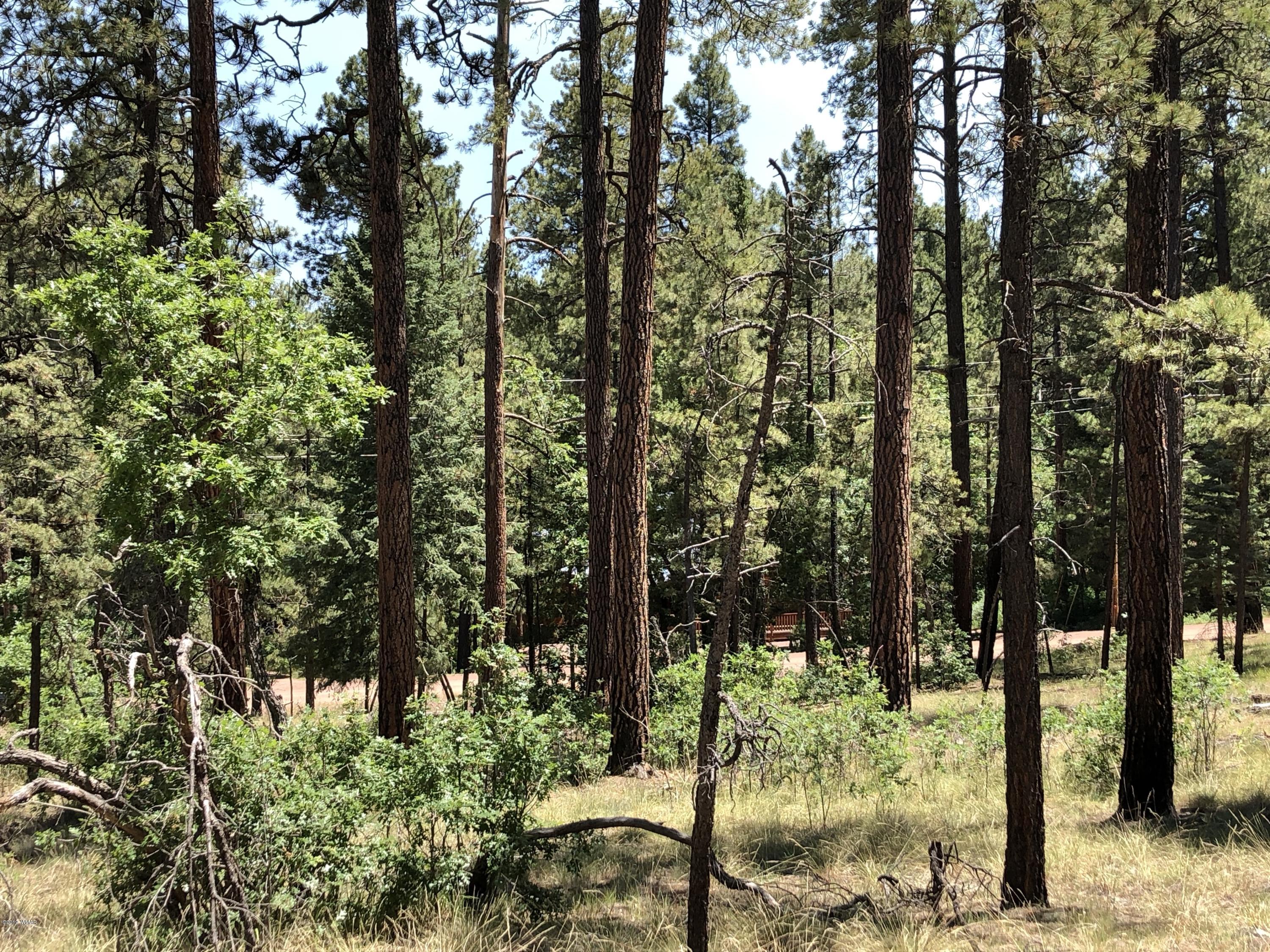 126 Co Road Alpine, AZ 85920 - Photo 4 of 23
