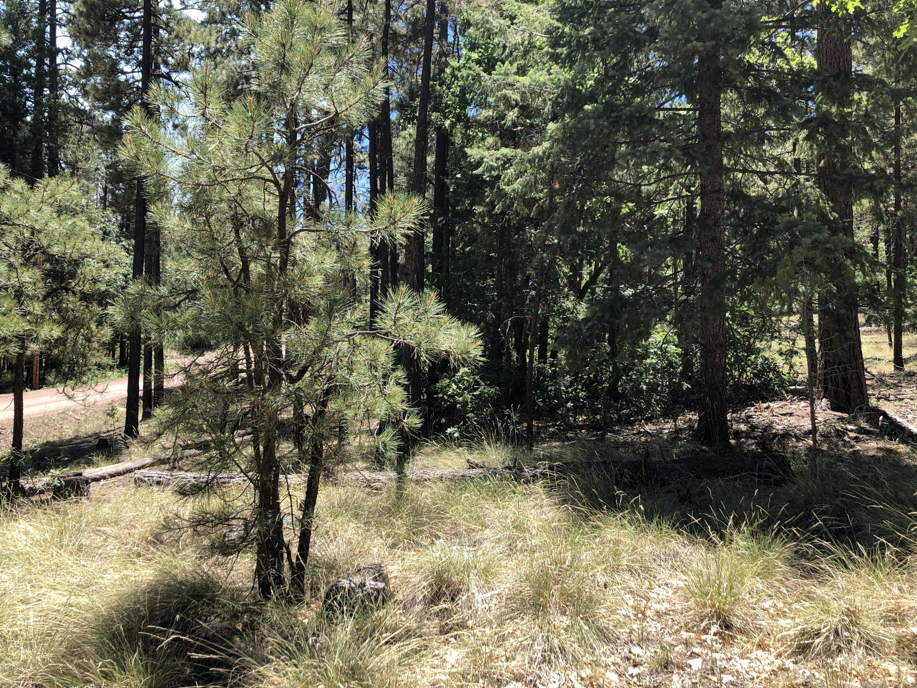 126 Co Road Alpine, AZ 85920 - Photo 8 of 23
