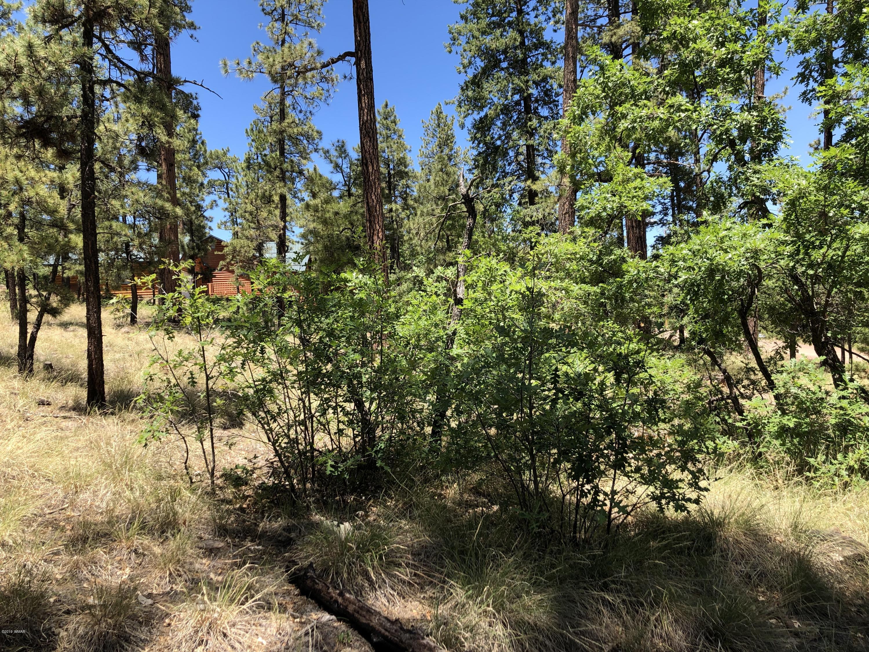 126 Co Road Alpine, AZ 85920 - Photo 10 of 23