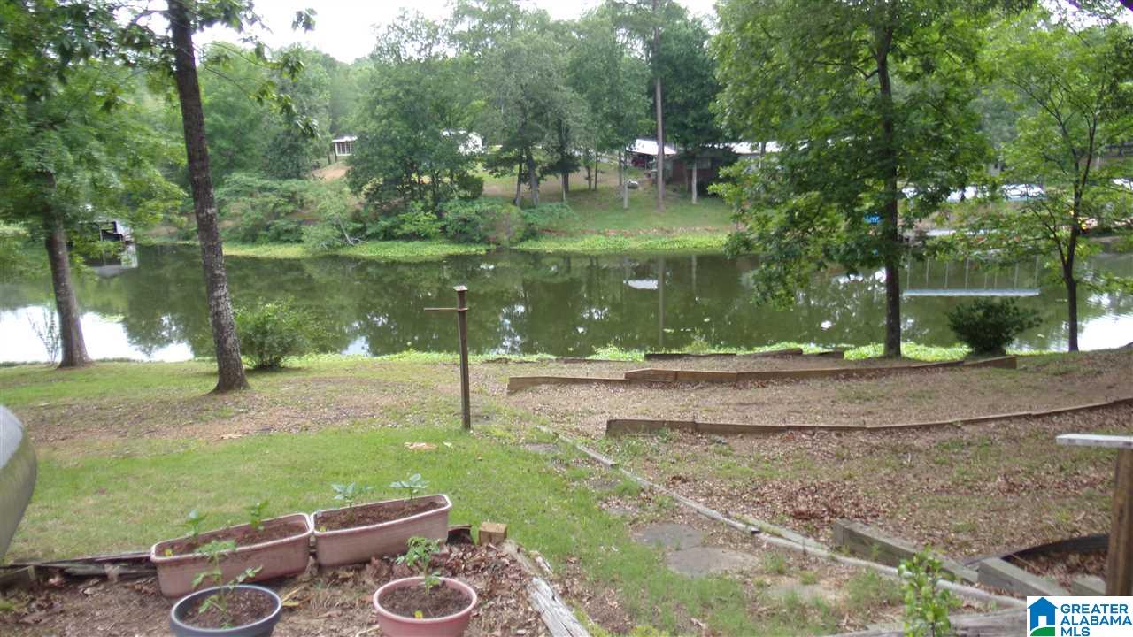 311 Shores Camp Road Adger, AL 35006 - Photo 6 of 41