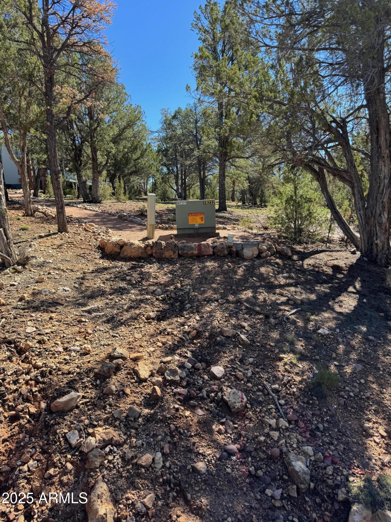 2333 Elk Ridge Lane, Unit 4H Overgaard, AZ 85933 - Photo 11 of 21 a view of outdoor space with trees