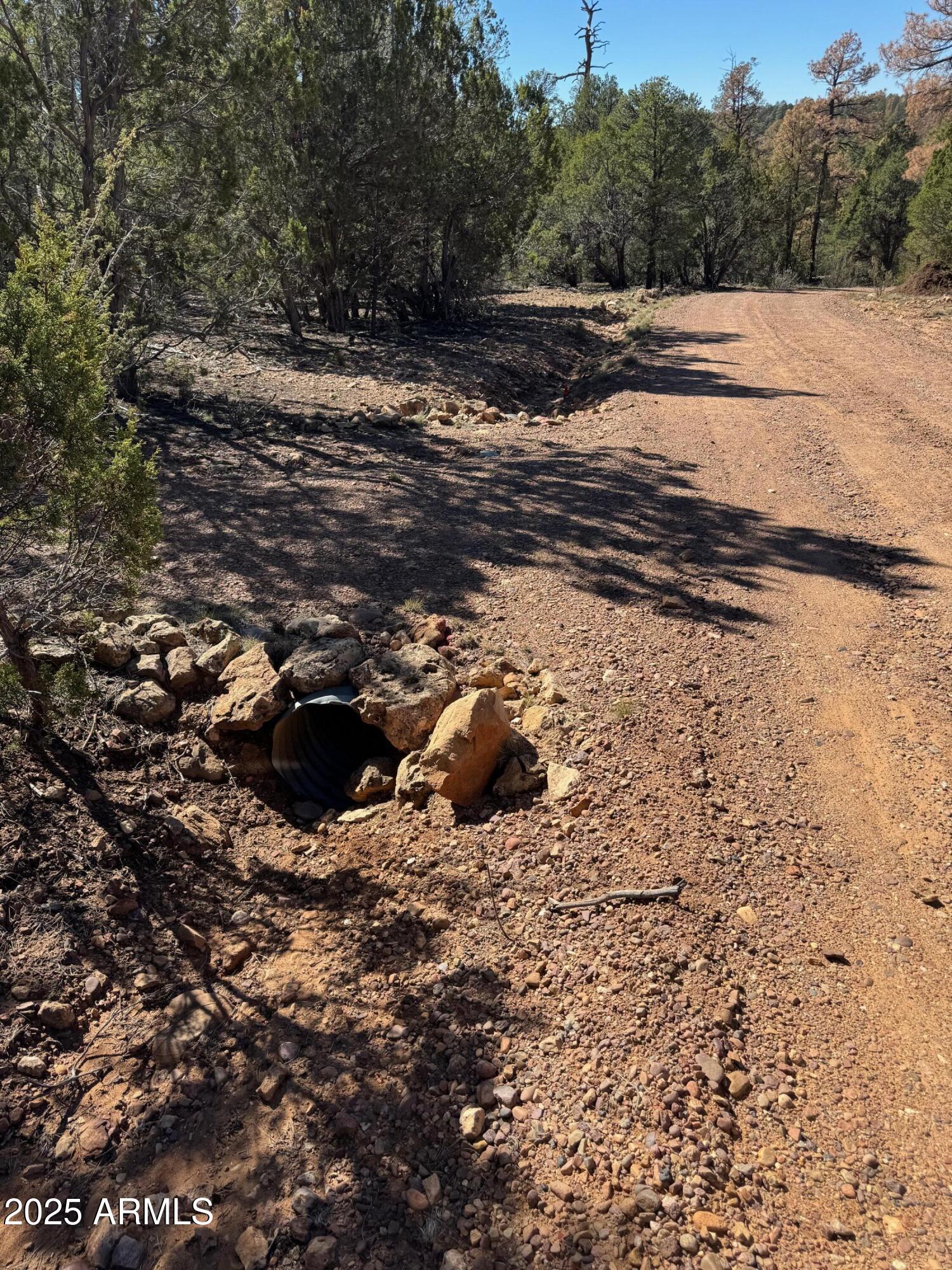 2333 Elk Ridge Lane, Unit 4H Overgaard, AZ 85933 - Photo 13 of 21 a view of a road with a yard