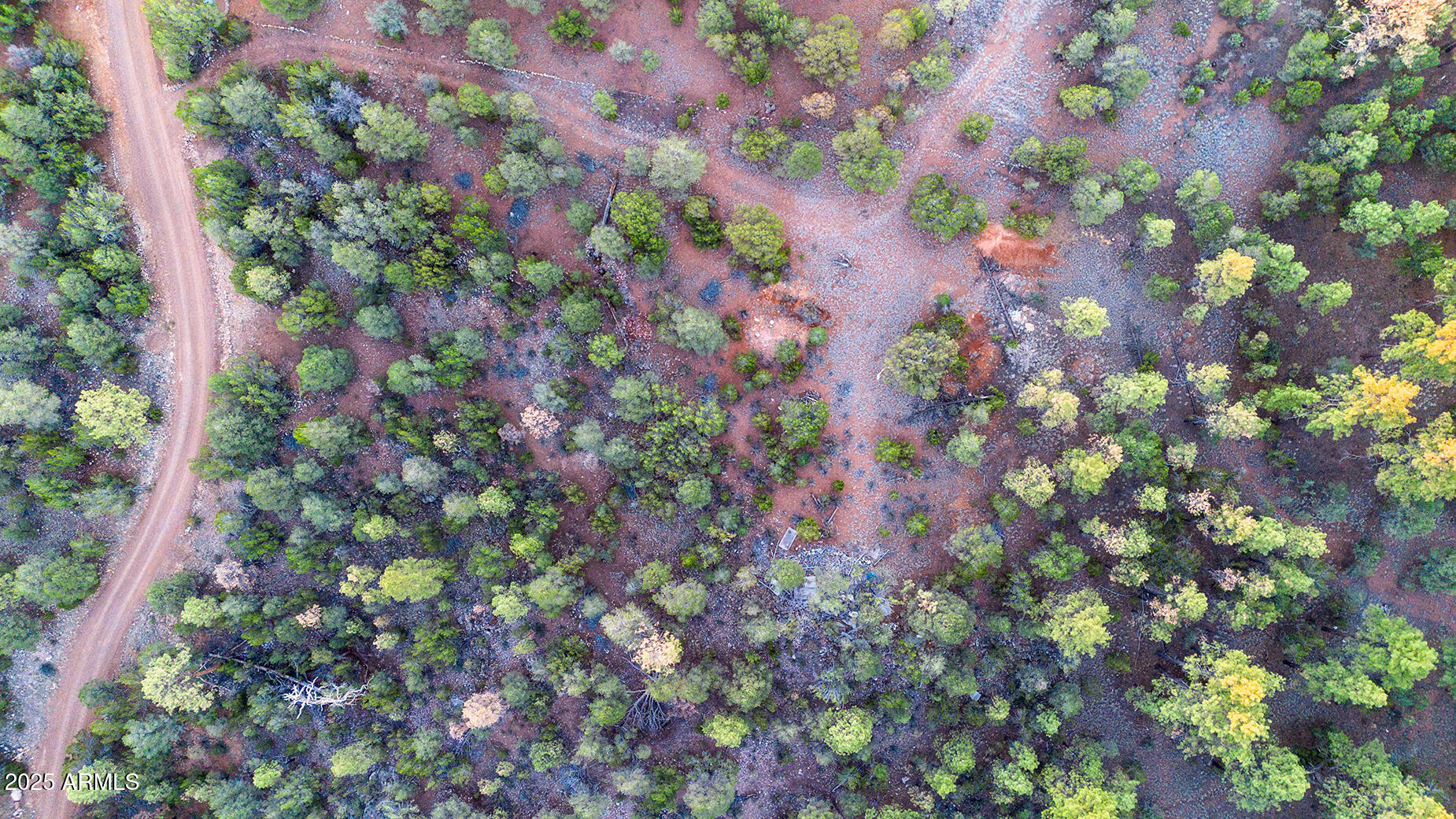 2333 Elk Ridge Lane, Unit 4H Overgaard, AZ 85933 - Photo 16 of 21 a picture of flowers