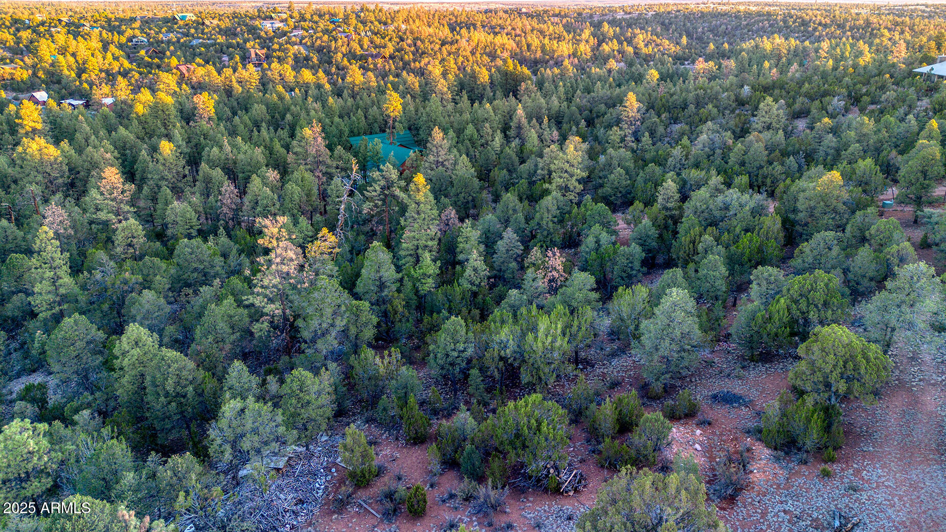 2333 Elk Ridge Lane, Unit 4H Overgaard, AZ 85933 - Photo 17 of 21 an aerial view of residential house with outdoor space and trees all around