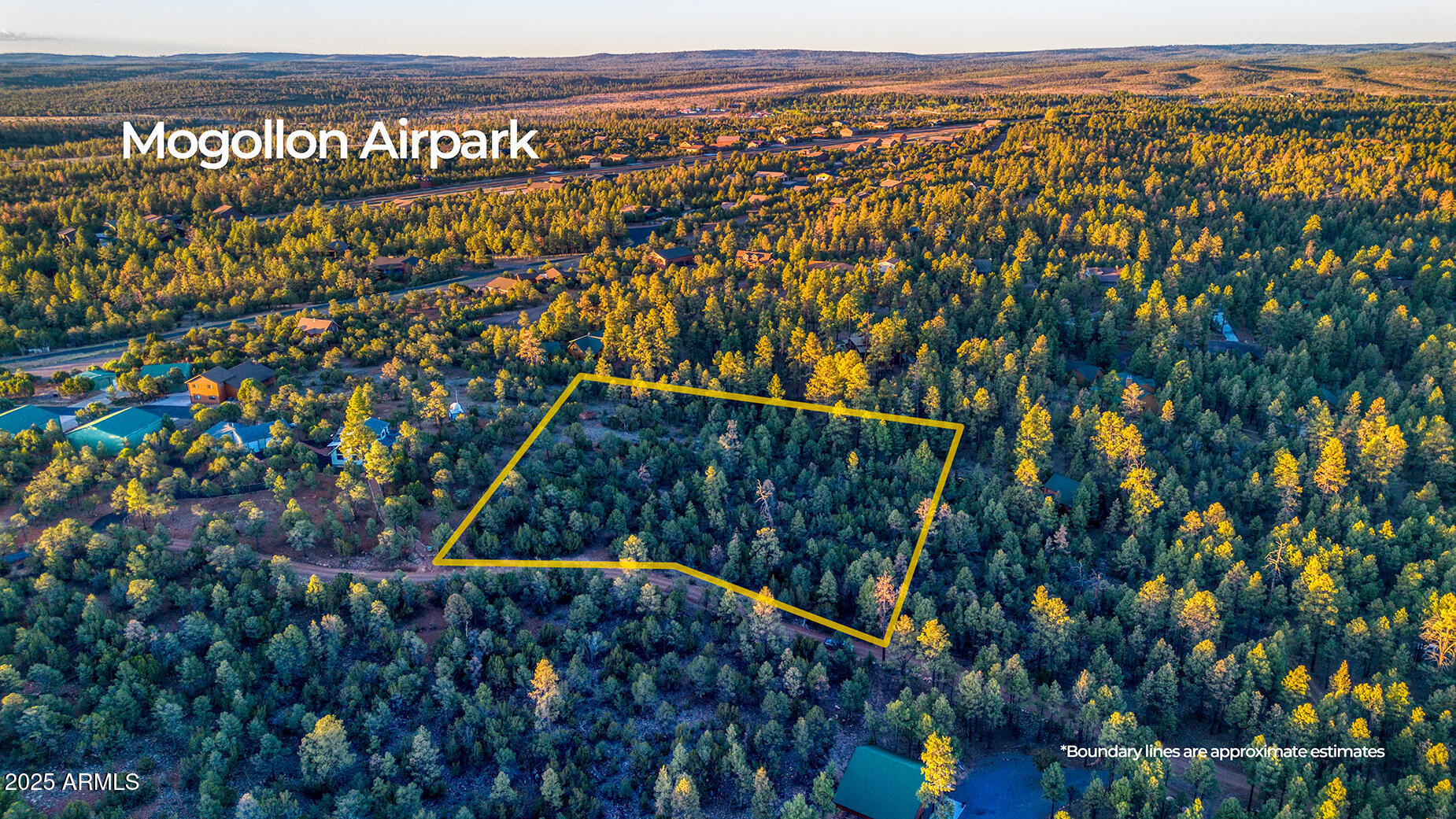 2333 Elk Ridge Lane, Unit 4H Overgaard, AZ 85933 - Photo 4 of 21 a view of a lots of trees