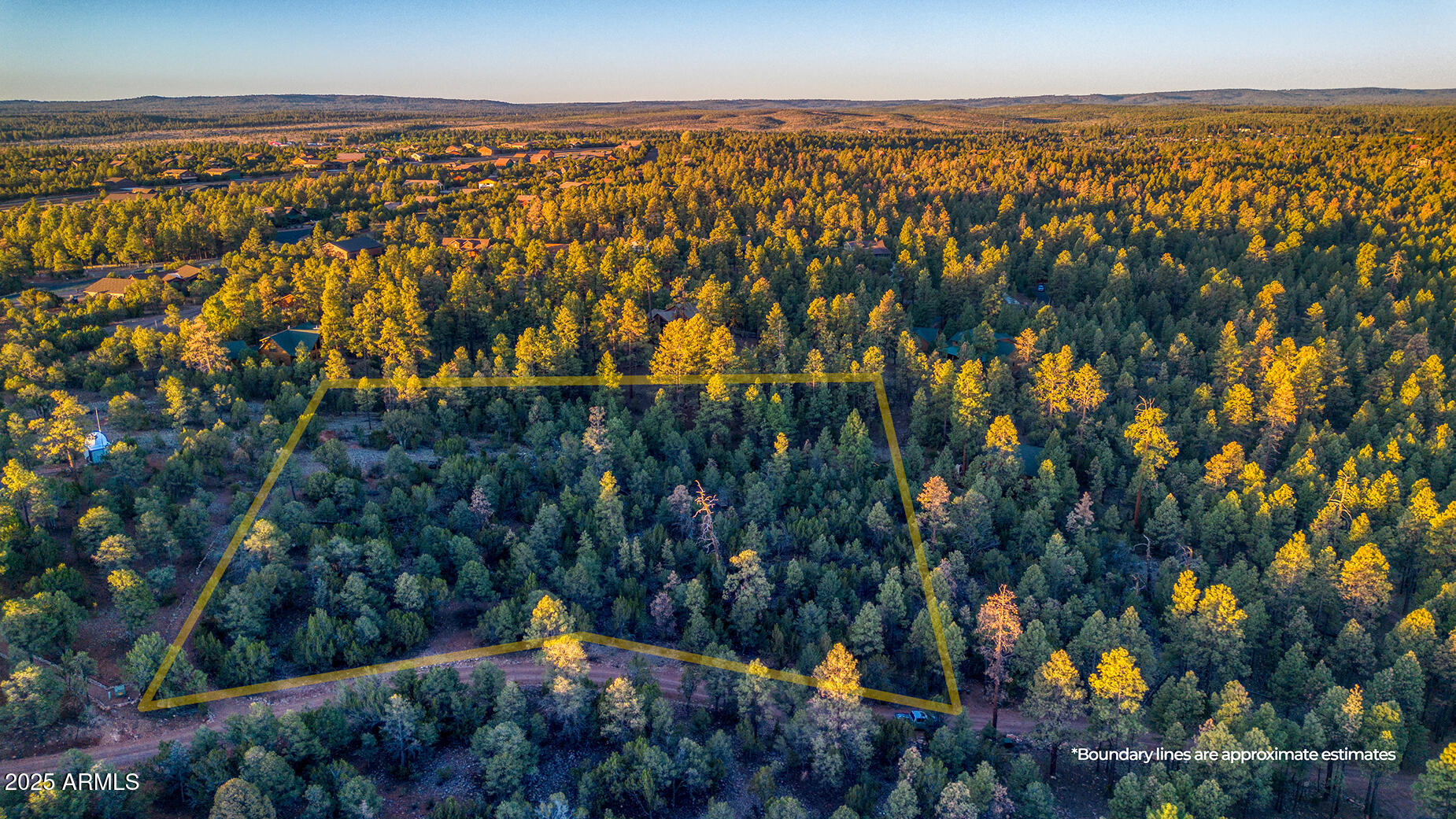2333 Elk Ridge Lane, Unit 4H Overgaard, AZ 85933 - Photo 5 of 21 a picture of street