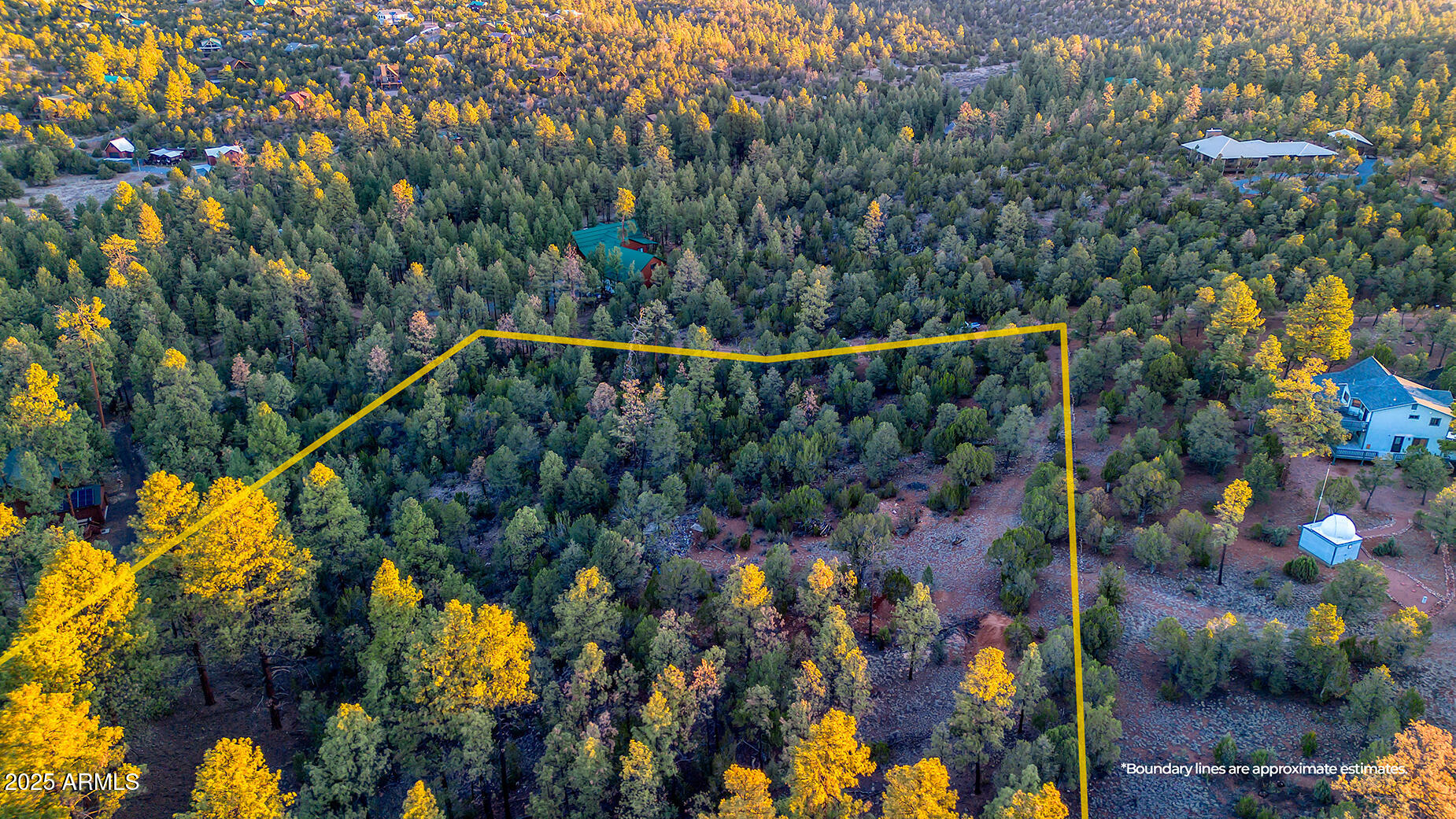 2333 Elk Ridge Lane, Unit 4H Overgaard, AZ 85933 - Photo 6 of 21 a view of a yard with plants