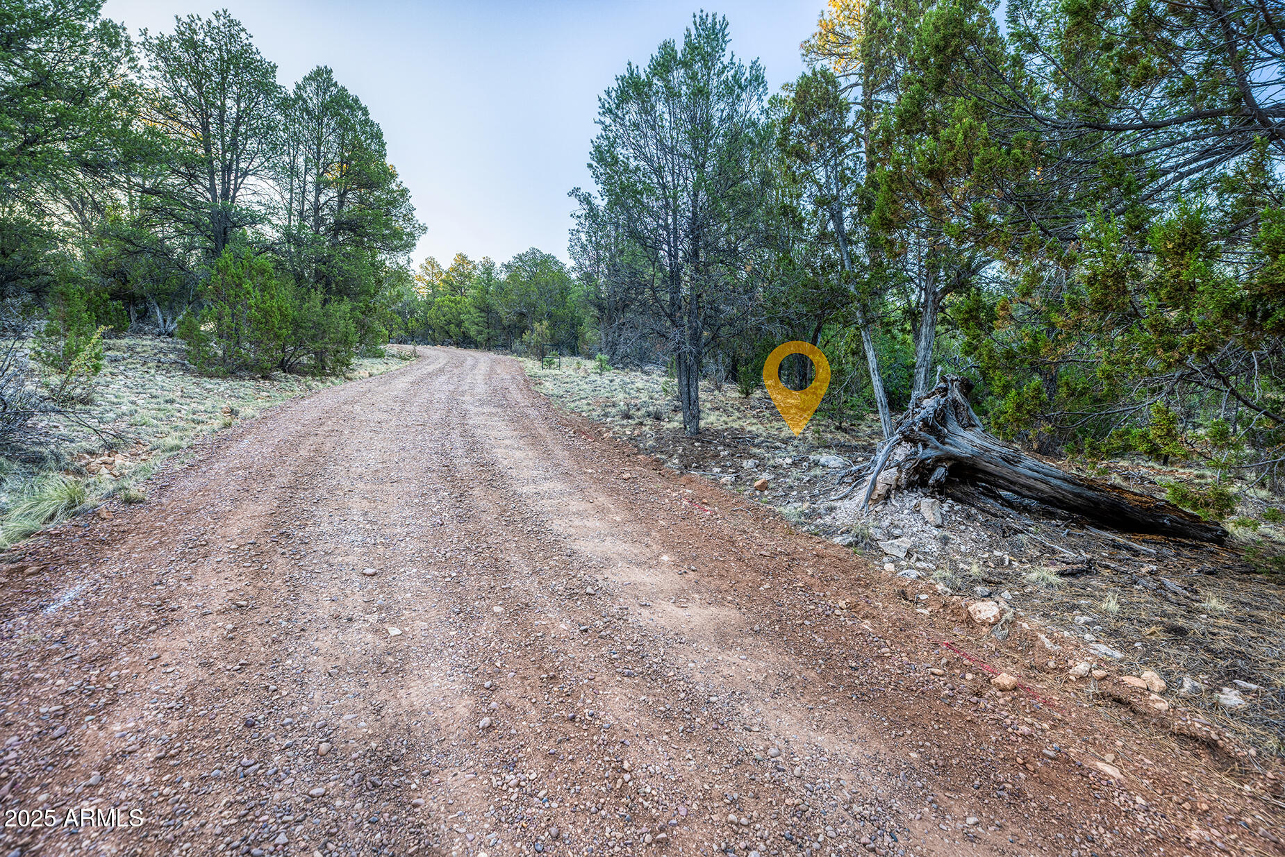 2333 Elk Ridge Lane, Unit 4H Overgaard, AZ 85933 - Photo 7 of 21 a backyard of a house with a yard and outdoor seating