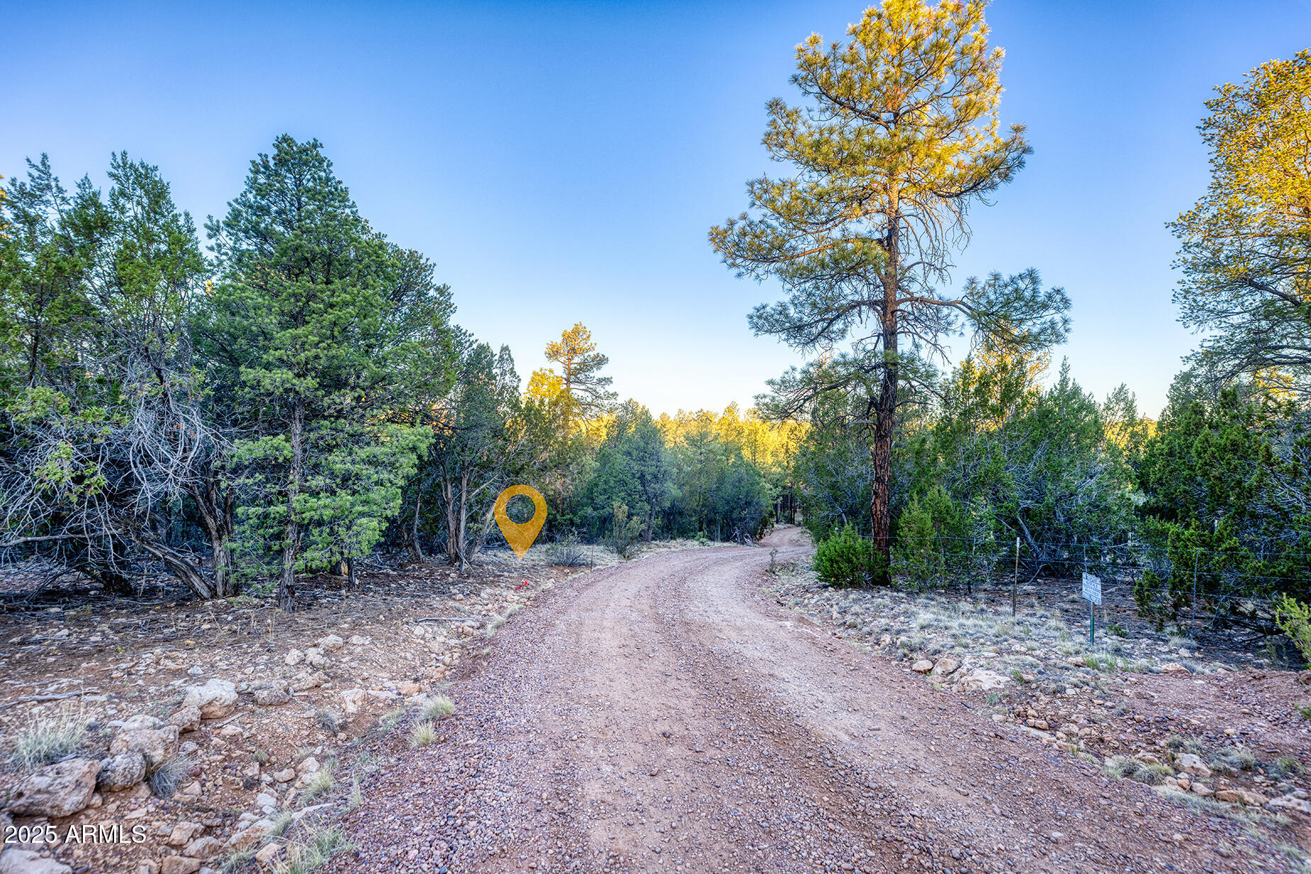 2333 Elk Ridge Lane, Unit 4H Overgaard, AZ 85933 - Photo 8 of 21 a view of outdoor space with garden and trees