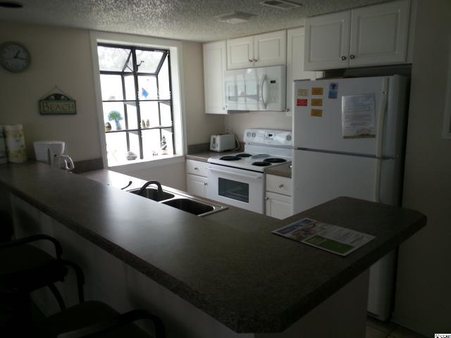 351 Lake Arrowhead Road, Unit 508B Myrtle Beach, SC 29572 - Photo 3 of 17 Gallery Image 3