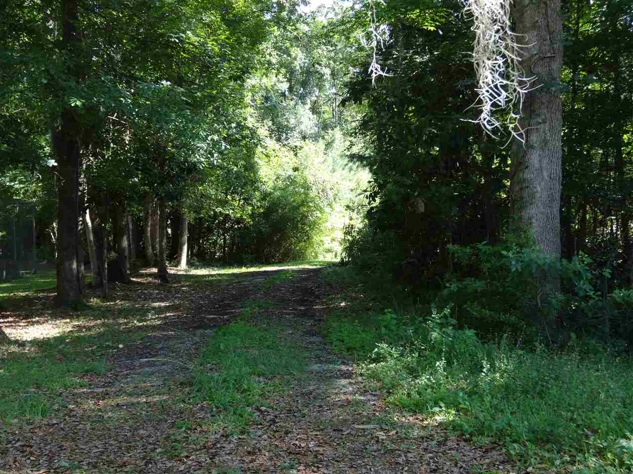 1415 Willow Road Monticello, FL 32344 - Photo 1 of 6 Gallery Image 1