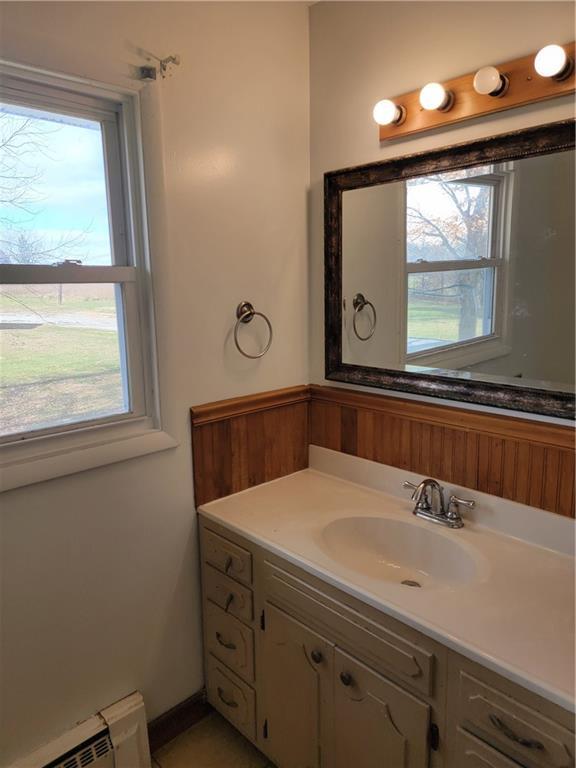 877 North 950 East Road Tower Hill, IL 62571 - Photo 16 of 28 a bathroom with a sink and a mirror