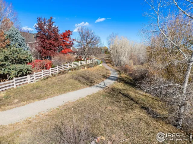 a view of a yard with large trees