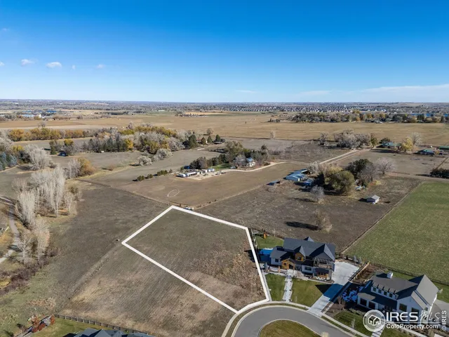 a view of a entertaining space with a small yard and plants