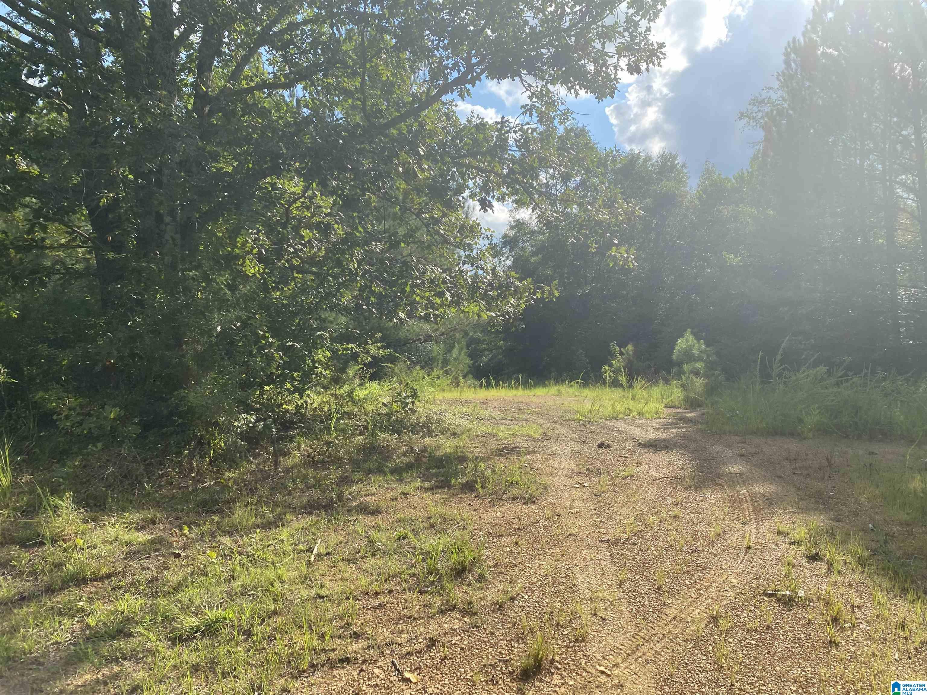 954 County Road 13, Unit 1 Cleveland, AL 35049 - Photo 16 of 19