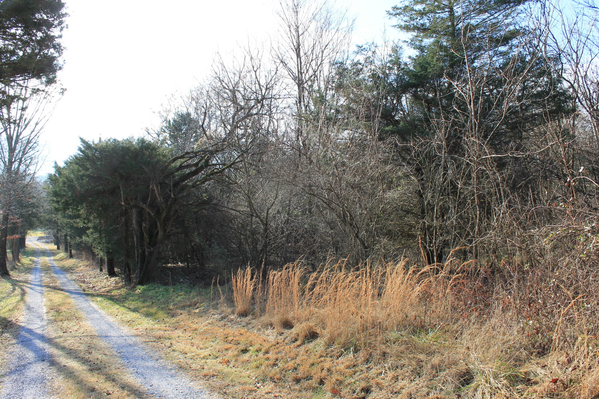 1213 Narrow Passage Road Buchanan, VA 24066 - Photo 19 of 21 a view of backyard of a house