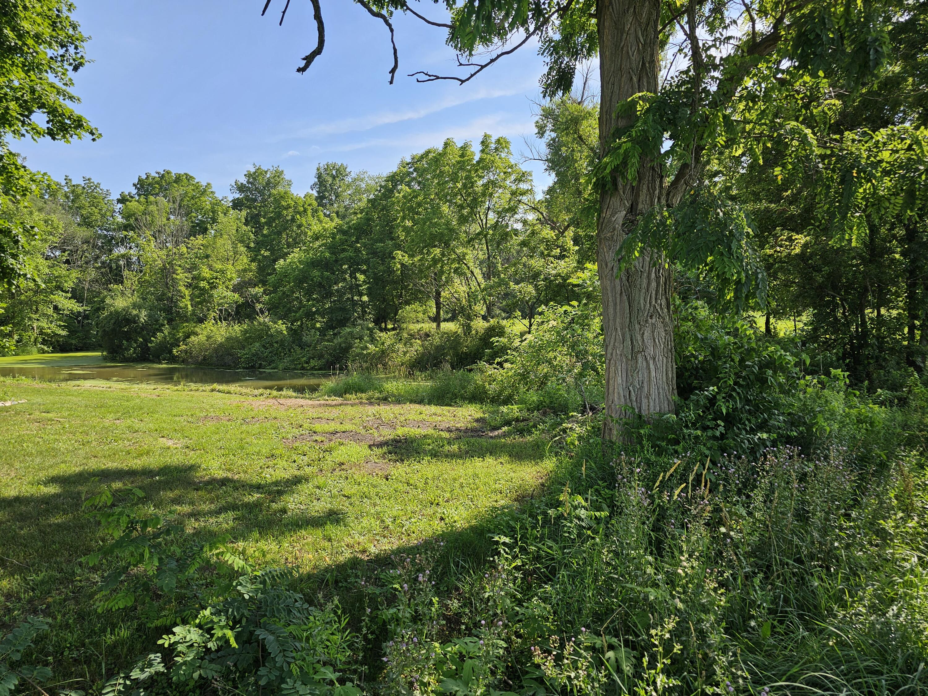 4438 Hartman Road Sodus, MI 49126 - Photo 37 of 52 20230706_172758