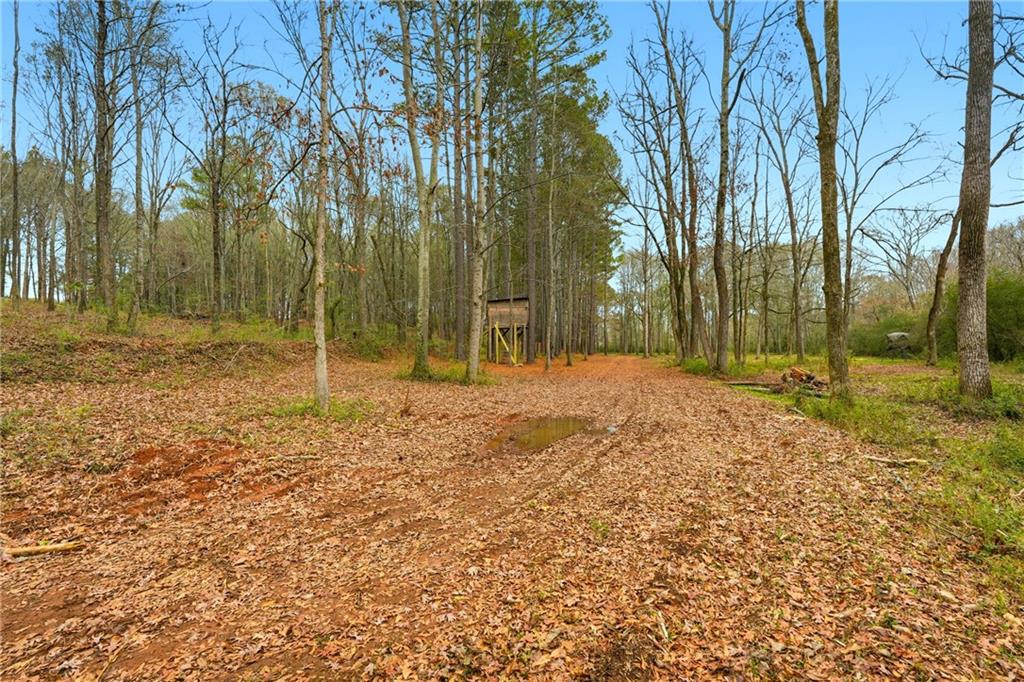 1295 Double Bridges Road Winder, GA 30680 - Photo 48 of 57 a backyard of a house with lots of green space