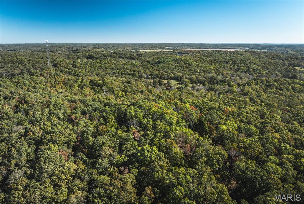 5479 Eisenhower Drive Zalma, MO 63787 - Photo 11 of 63