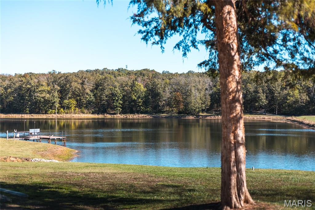 5479 Eisenhower Drive Zalma, MO 63787 - Photo 22 of 63